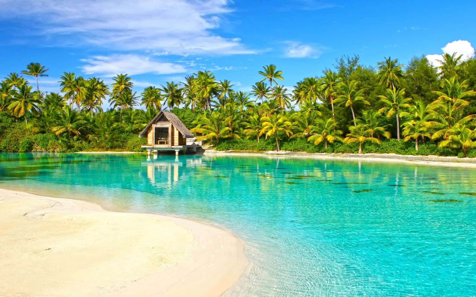 Breathe In The Beauty Of Bora Bora Background
