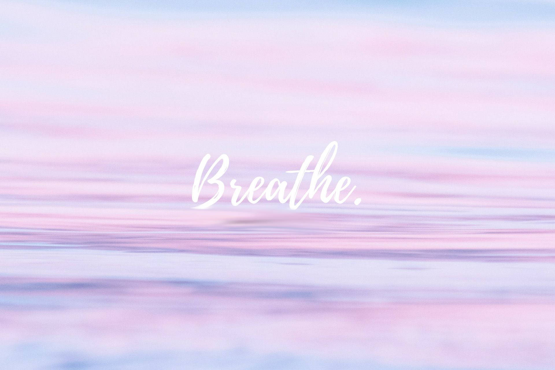 Breathing Text Pastel Pink Background