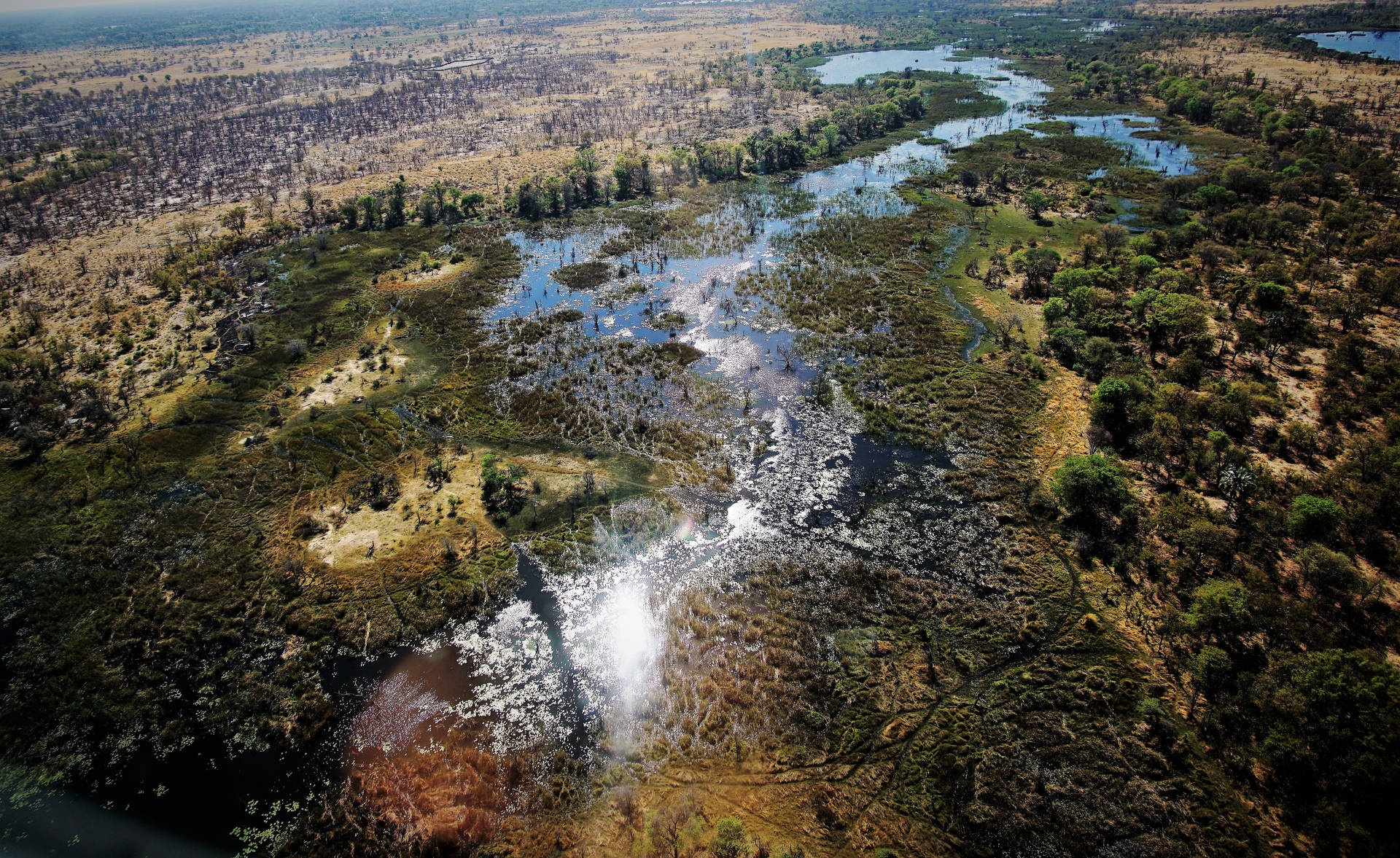 Breathtaking Aerial View Of Okavango Delta, Botswana
