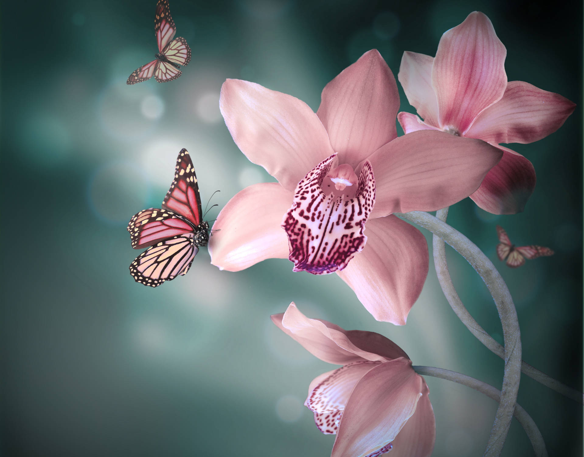 Breathtaking Close-up Of A Cute Pink Butterfly Background