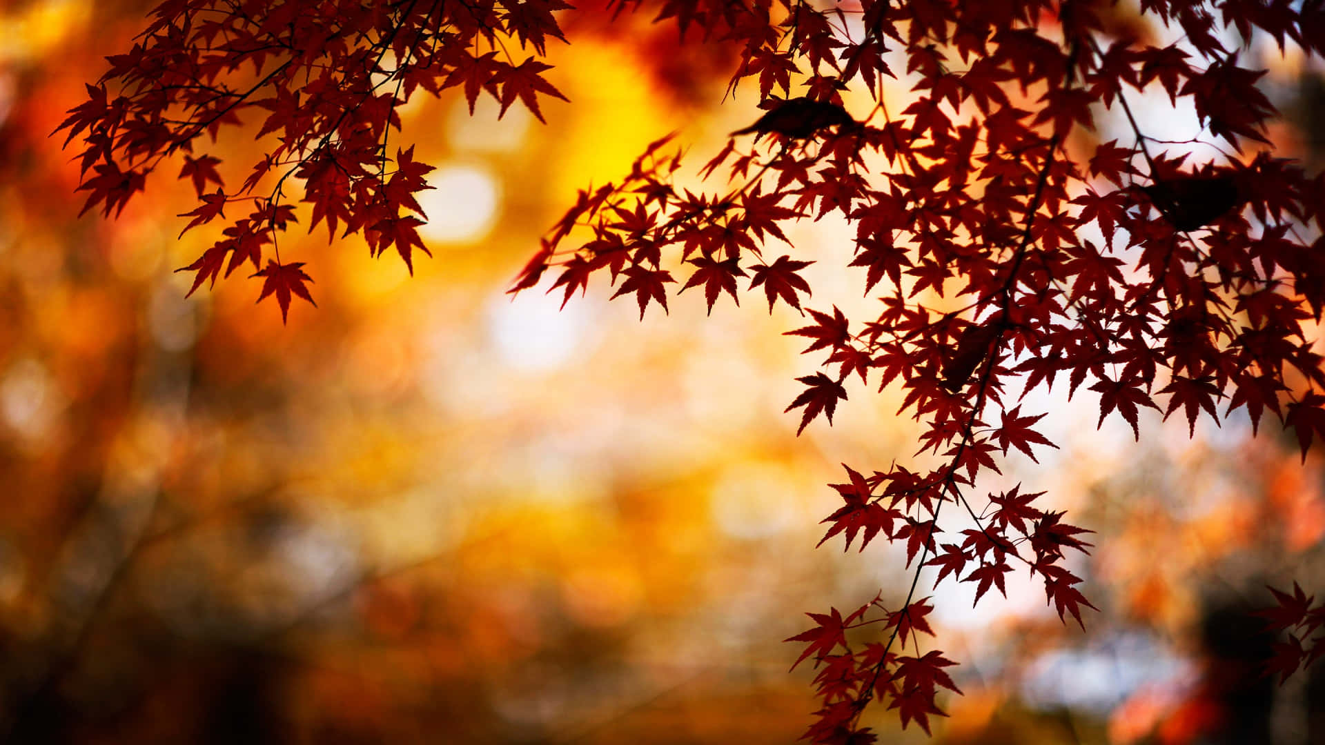 Breathtaking Fall Scene Featuring Majestic Mountains Background