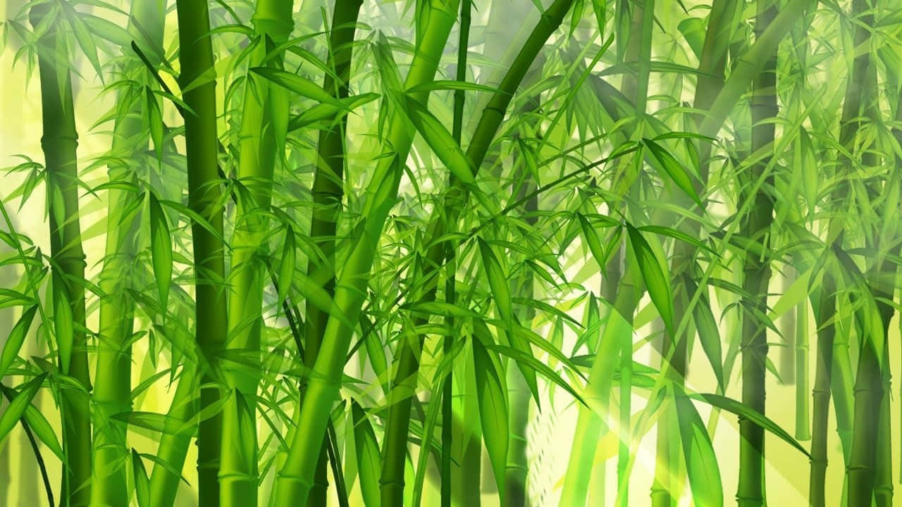 'breathtaking Green Bamboo In Its Natural Habitat' Background