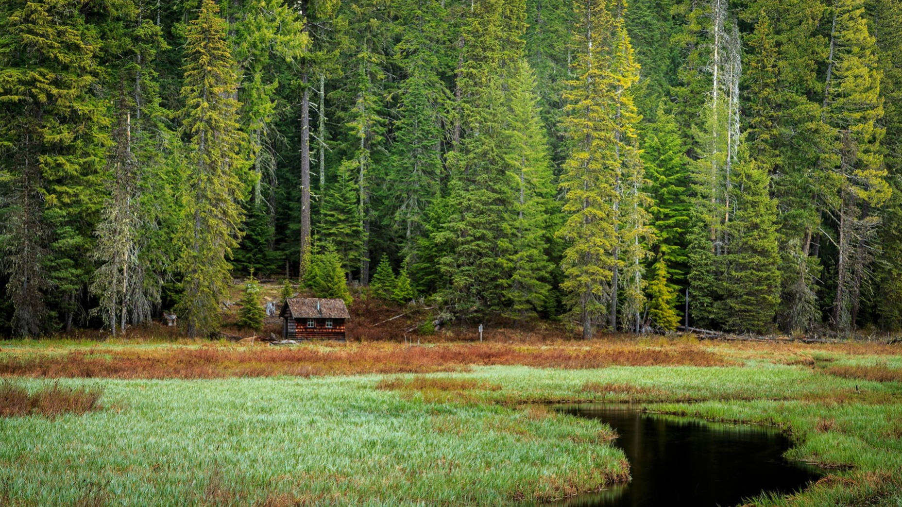 Breathtaking Landscape Of Oregon's Natural Beauty Background