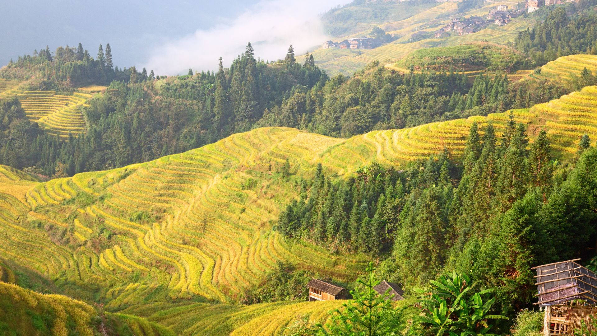 Breathtaking Mountain Terrace Slope