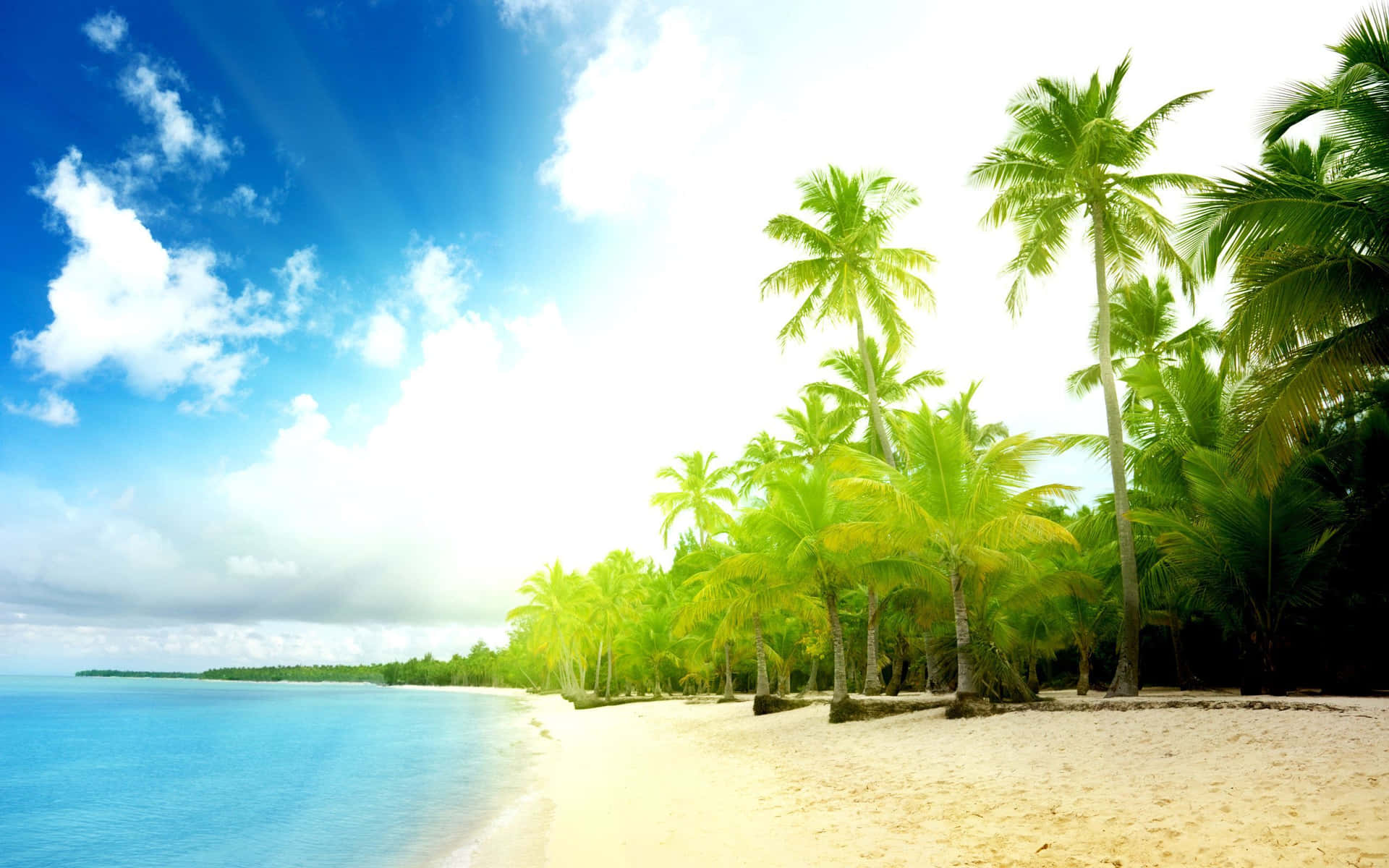 Breathtaking Palm Beach Landscape Background