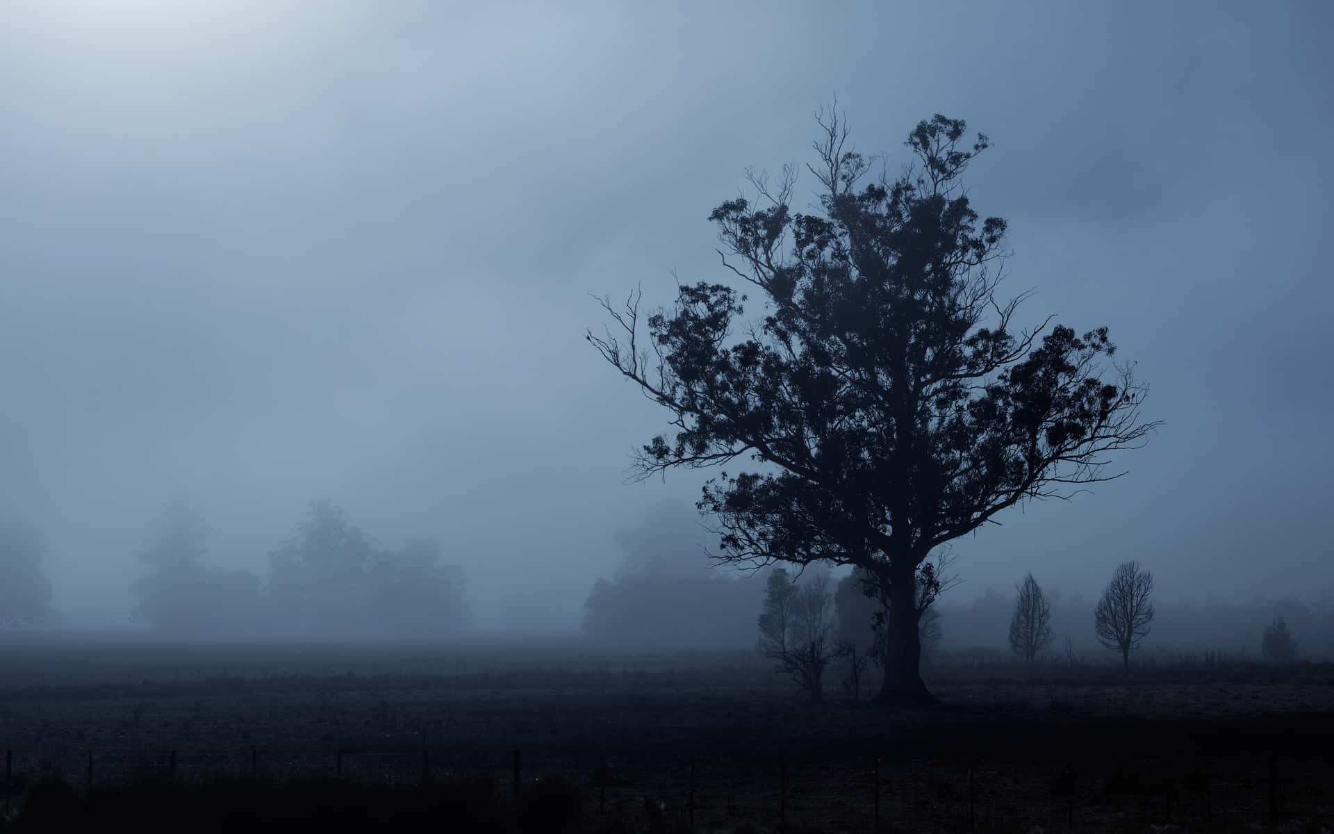 Breathtaking Somber Night Background