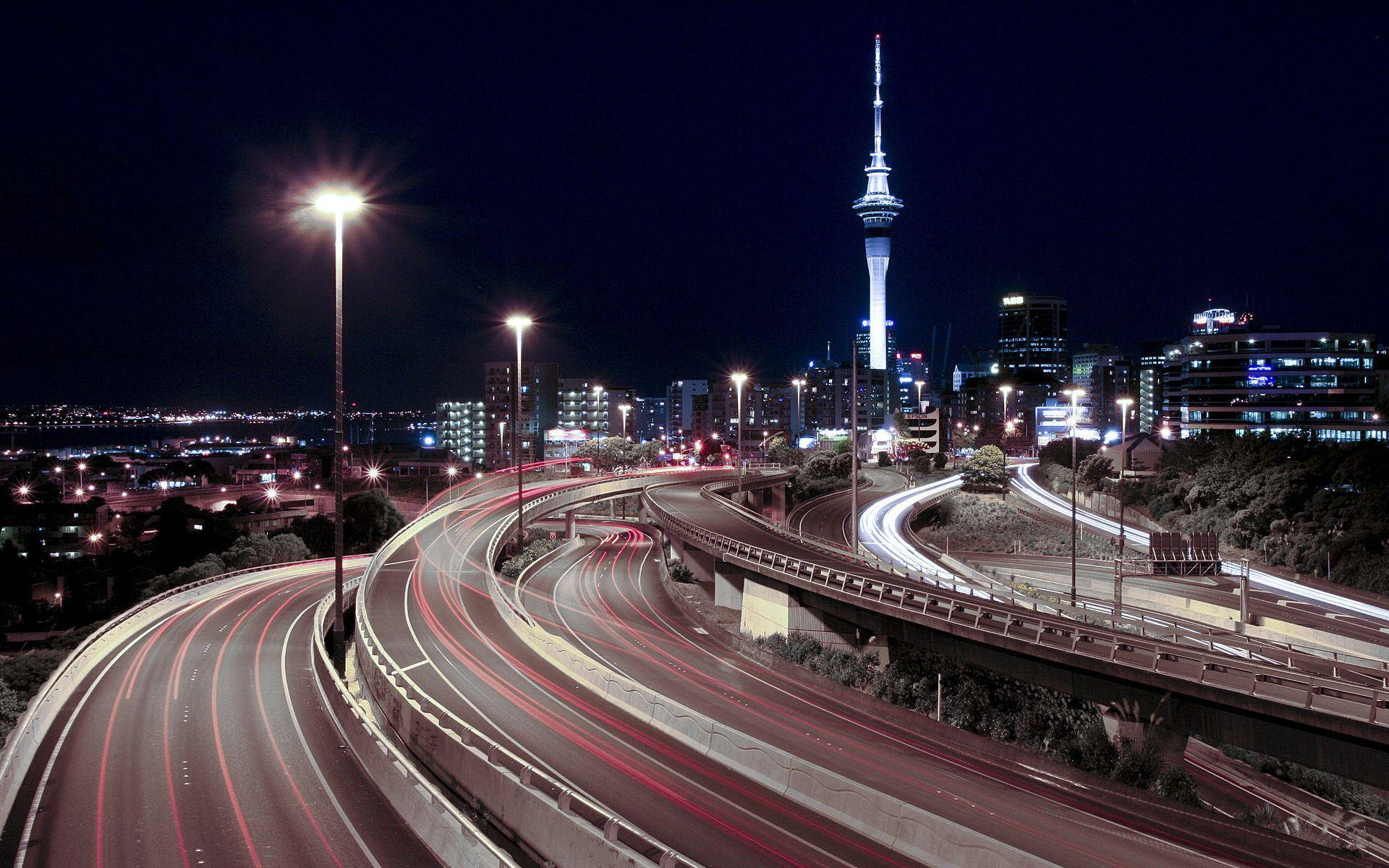 Breathtaking View Of Auckland City, New Zealand