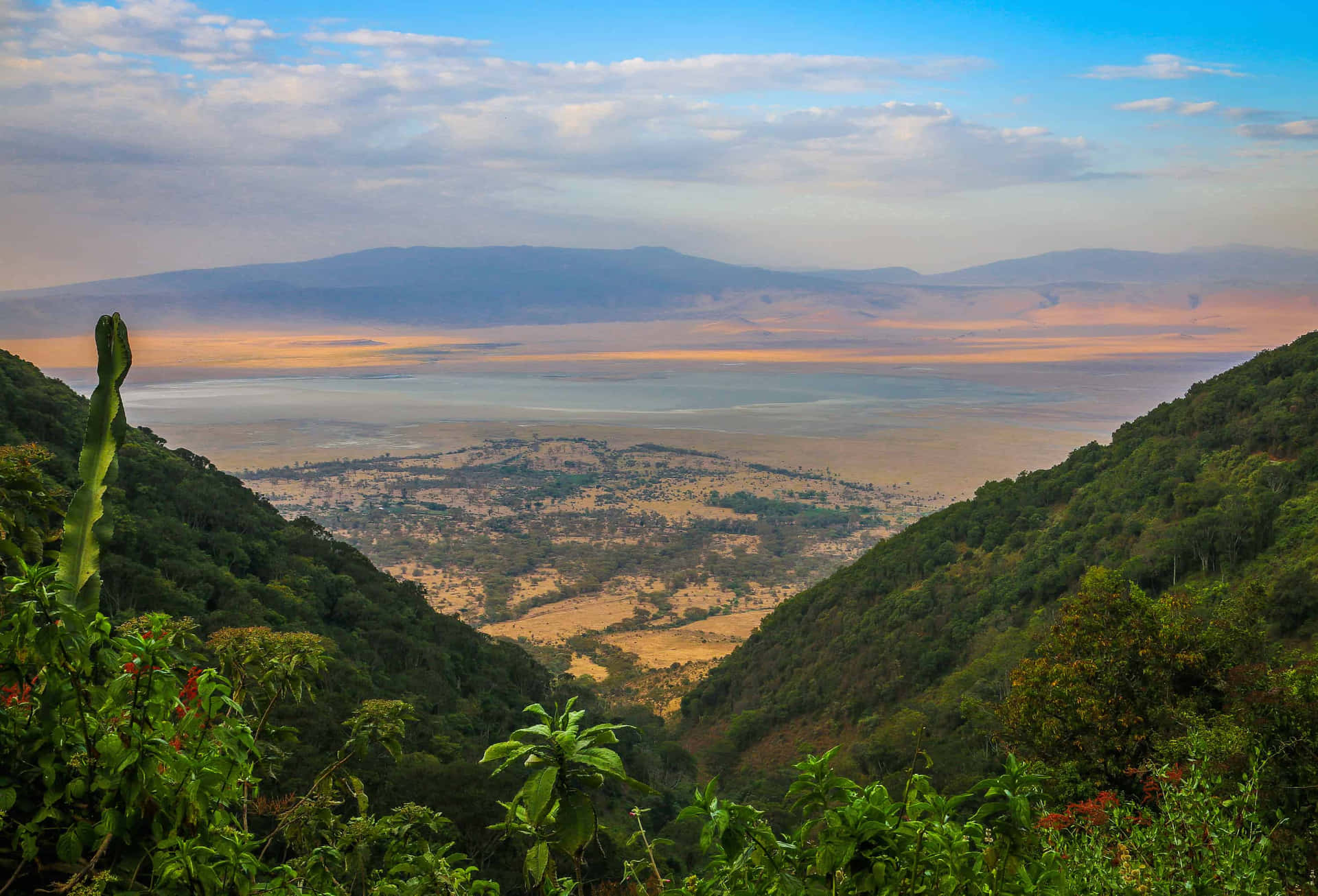 Breathtaking View Of Ngorongoro Crater Lake Magadi In Northern Tanzania