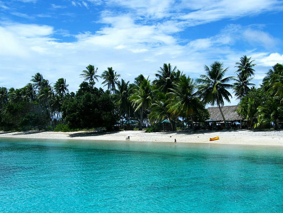 Breathtaking View Of Palm Trees In Majestic Marshall Islands Background