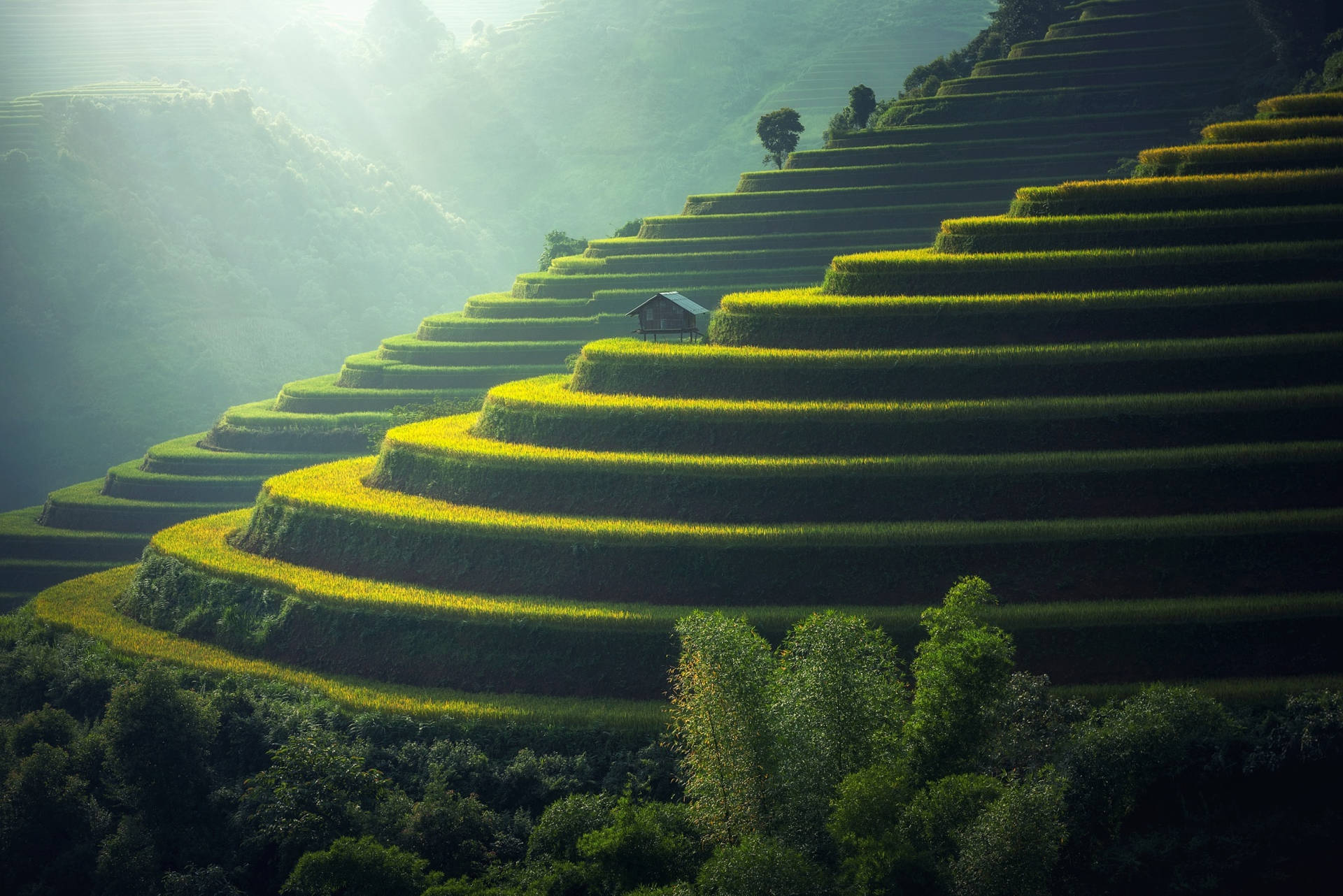 Breathtaking View Of Rice Terraces In Vietnam Background