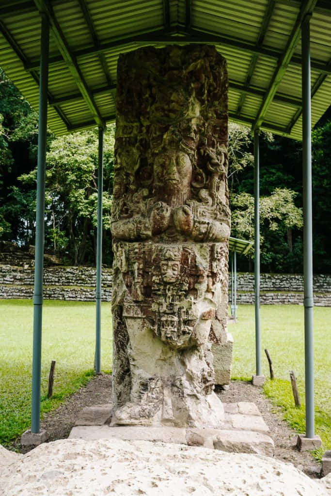Breathtaking View Of The Ancient Mayan Ruins Of Copan Background