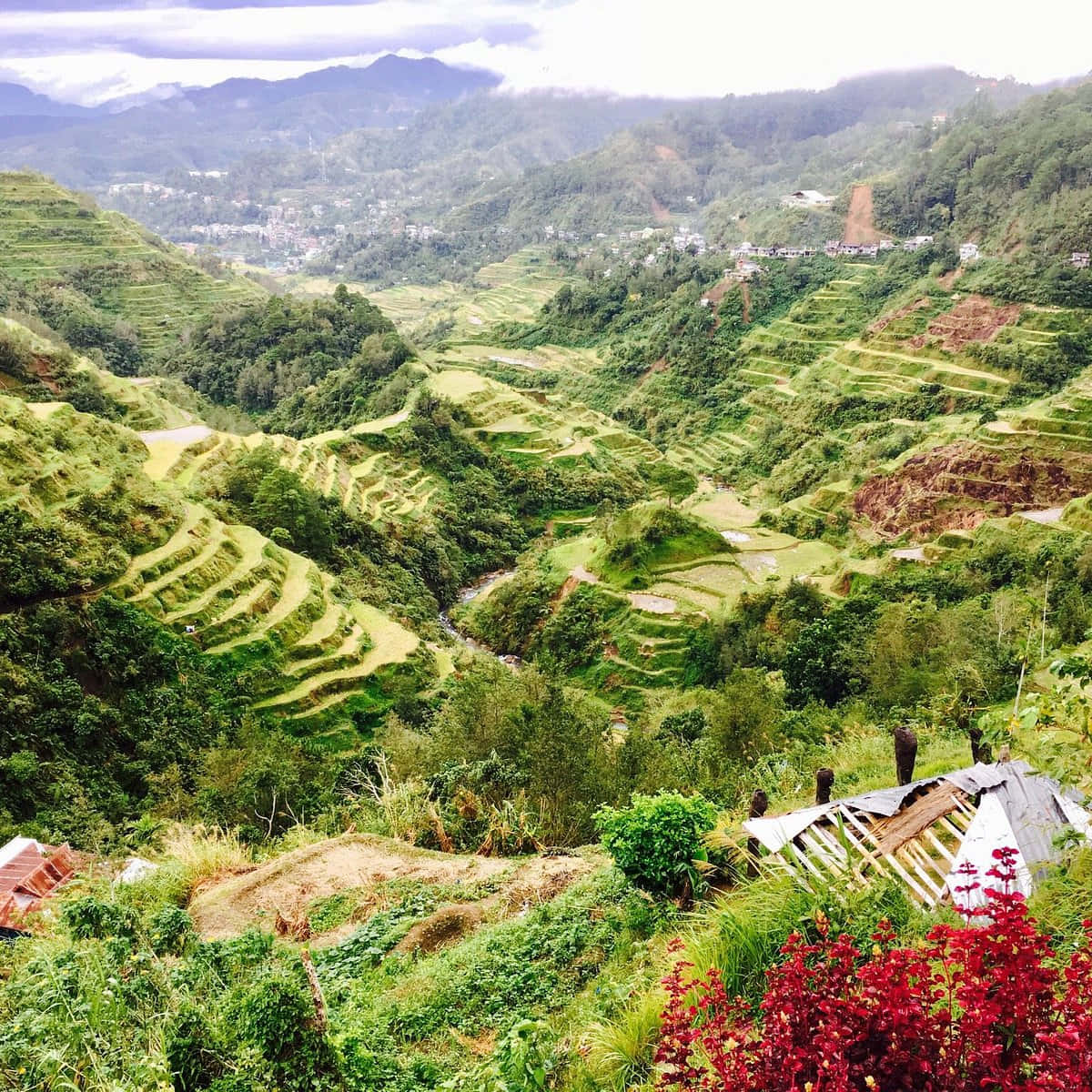 Breathtaking View Of The Historical Banaue Rice Terraces
