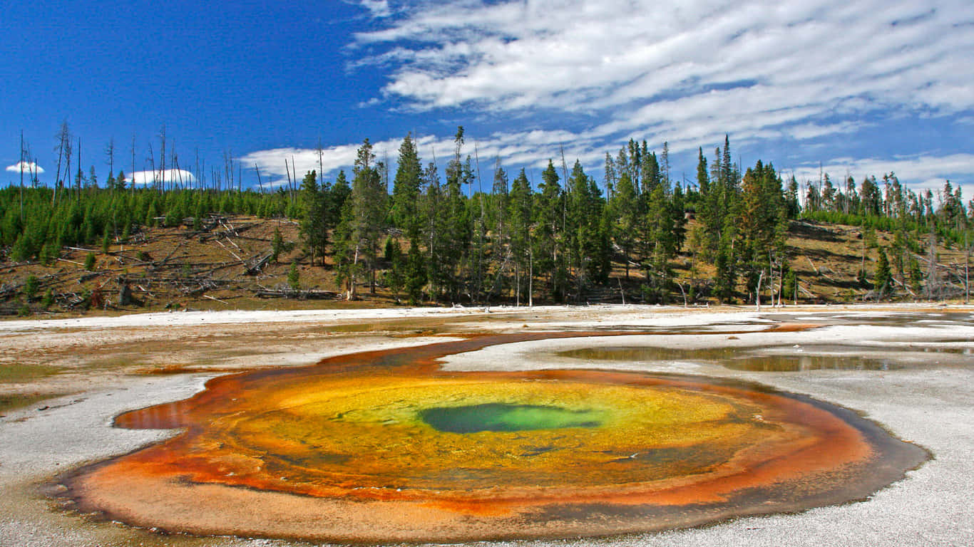 Breathtaking View Of Yellowstone National Park Background