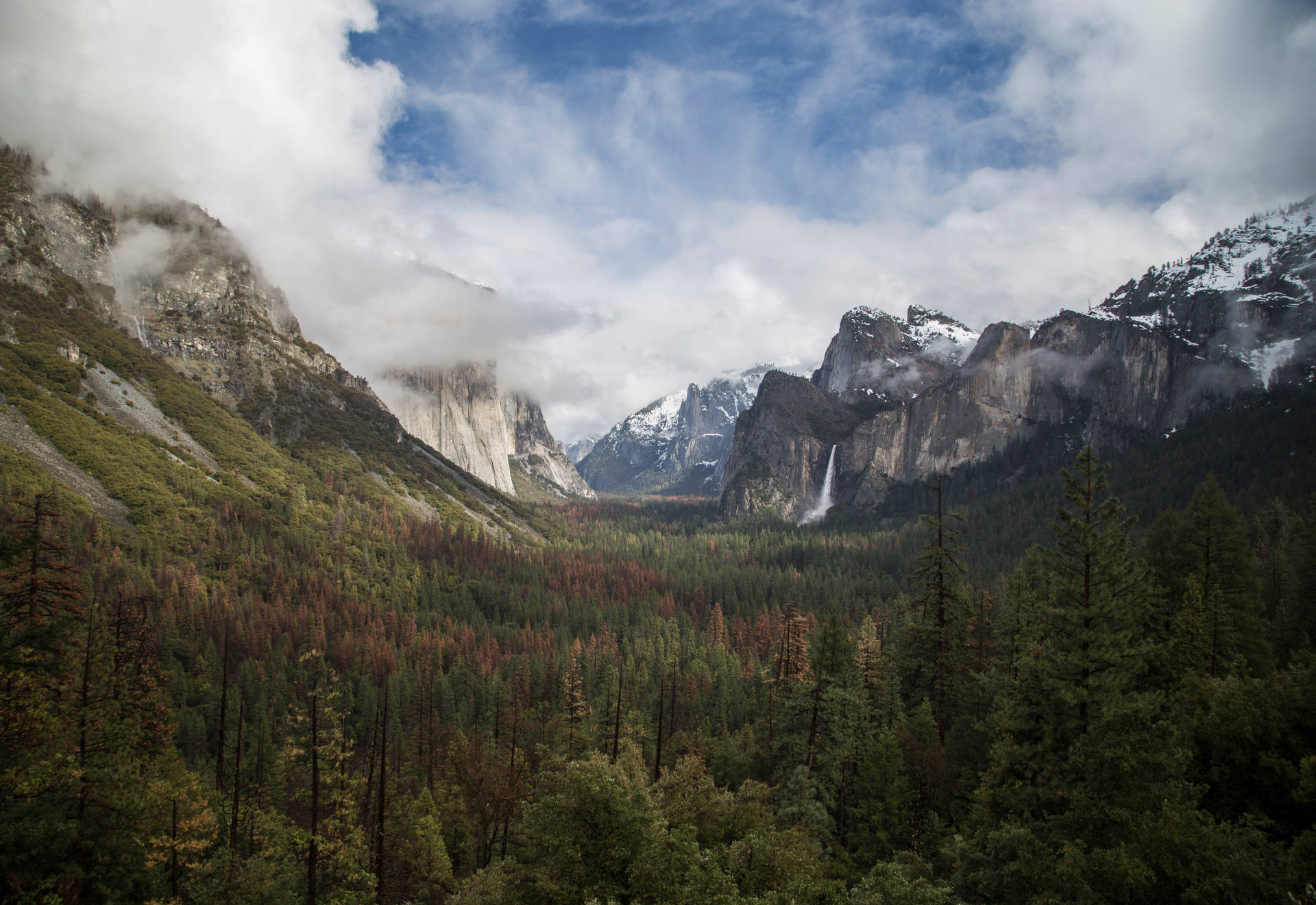 Breathtaking View Of Yosemite Park In Fresno Background