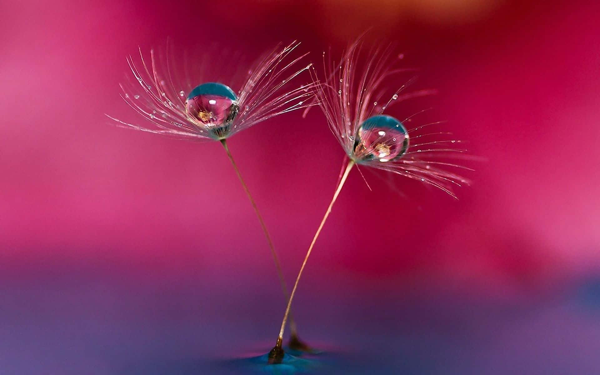 Breathtaking Views Of Google Pixel On The Water