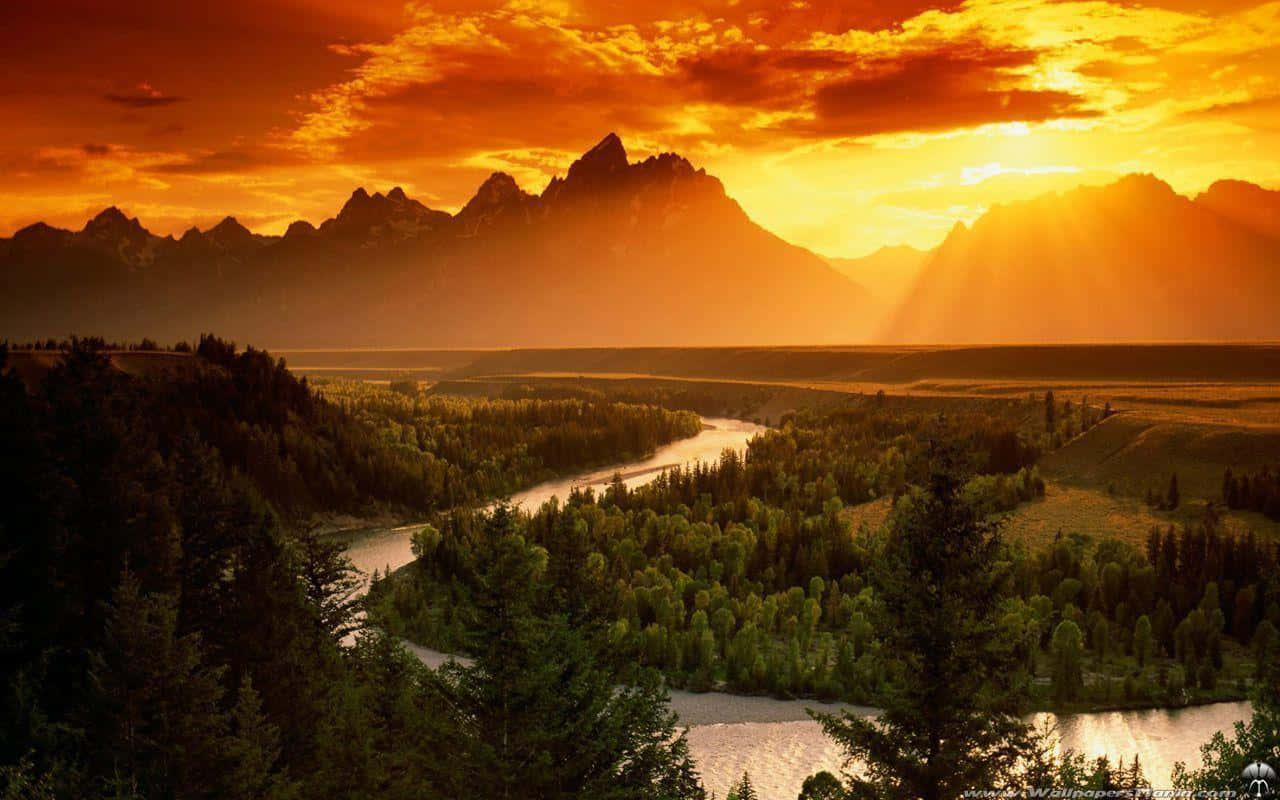 Breathtaking Yellowstone National Park Background