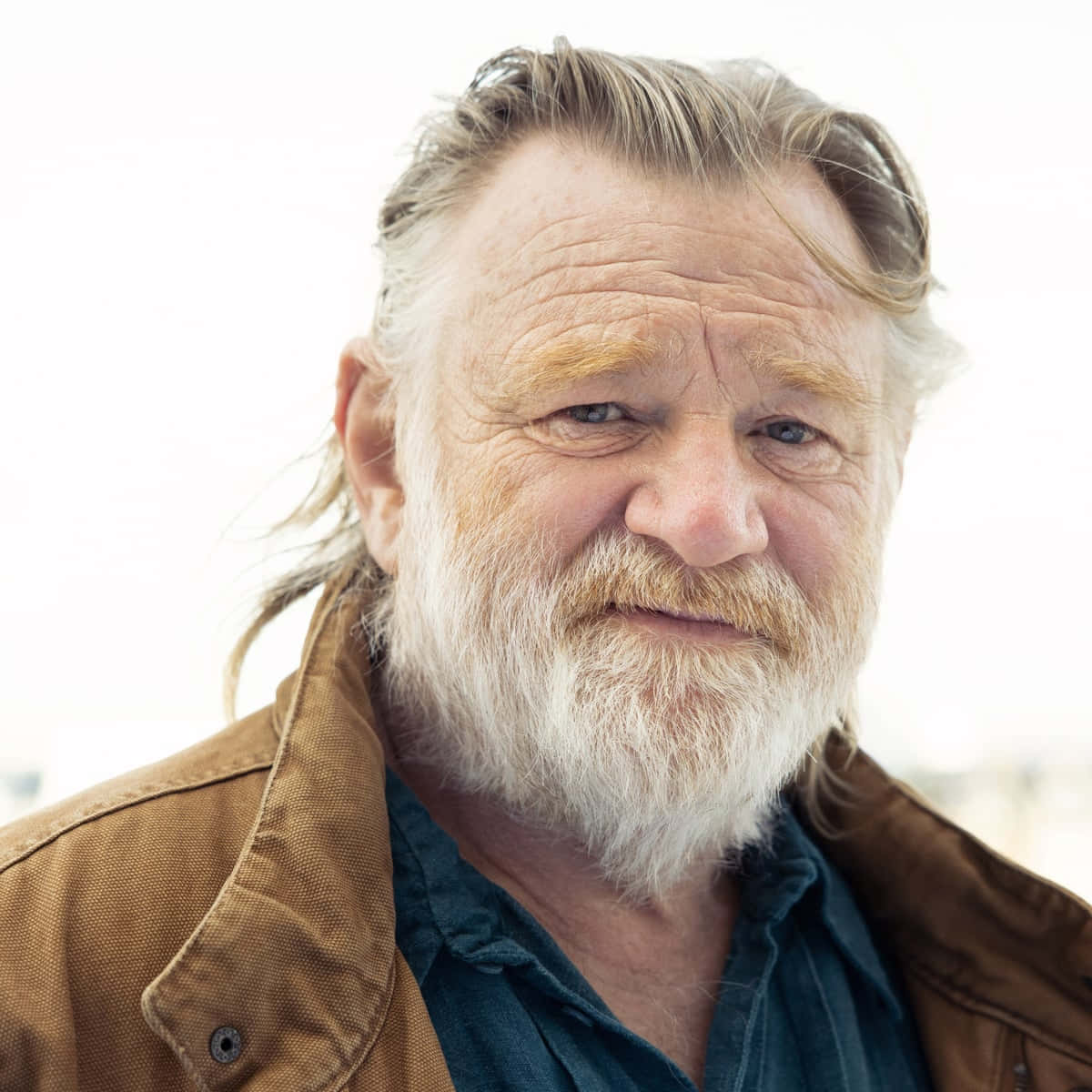 Brendan Gleeson [wallpaper]