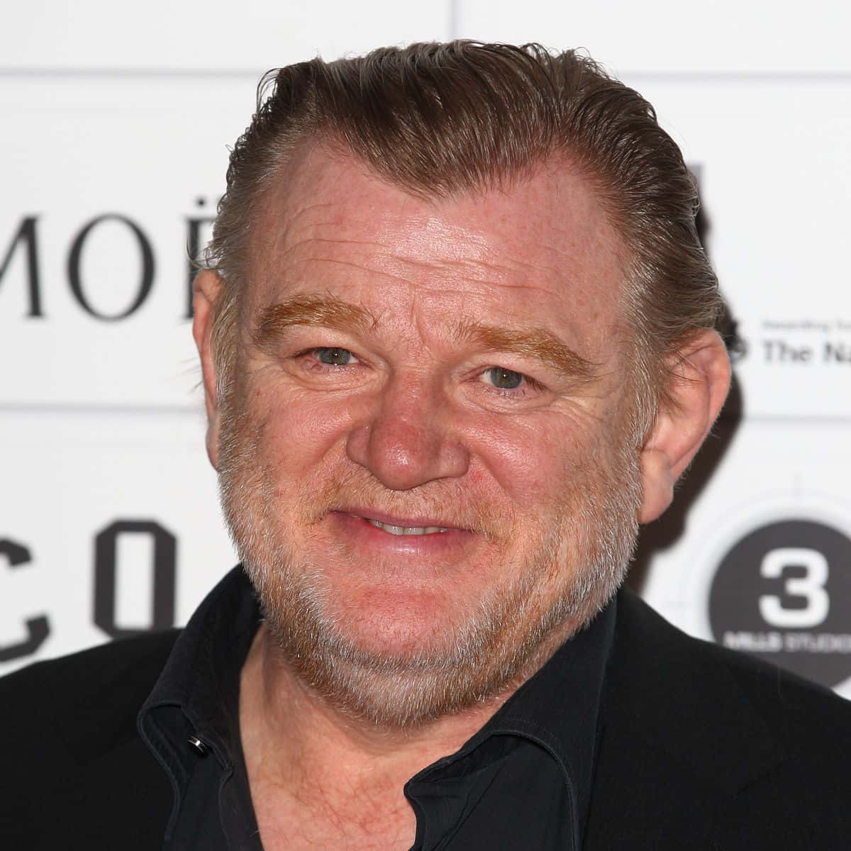 Brendan Gleeson [wallpaper]