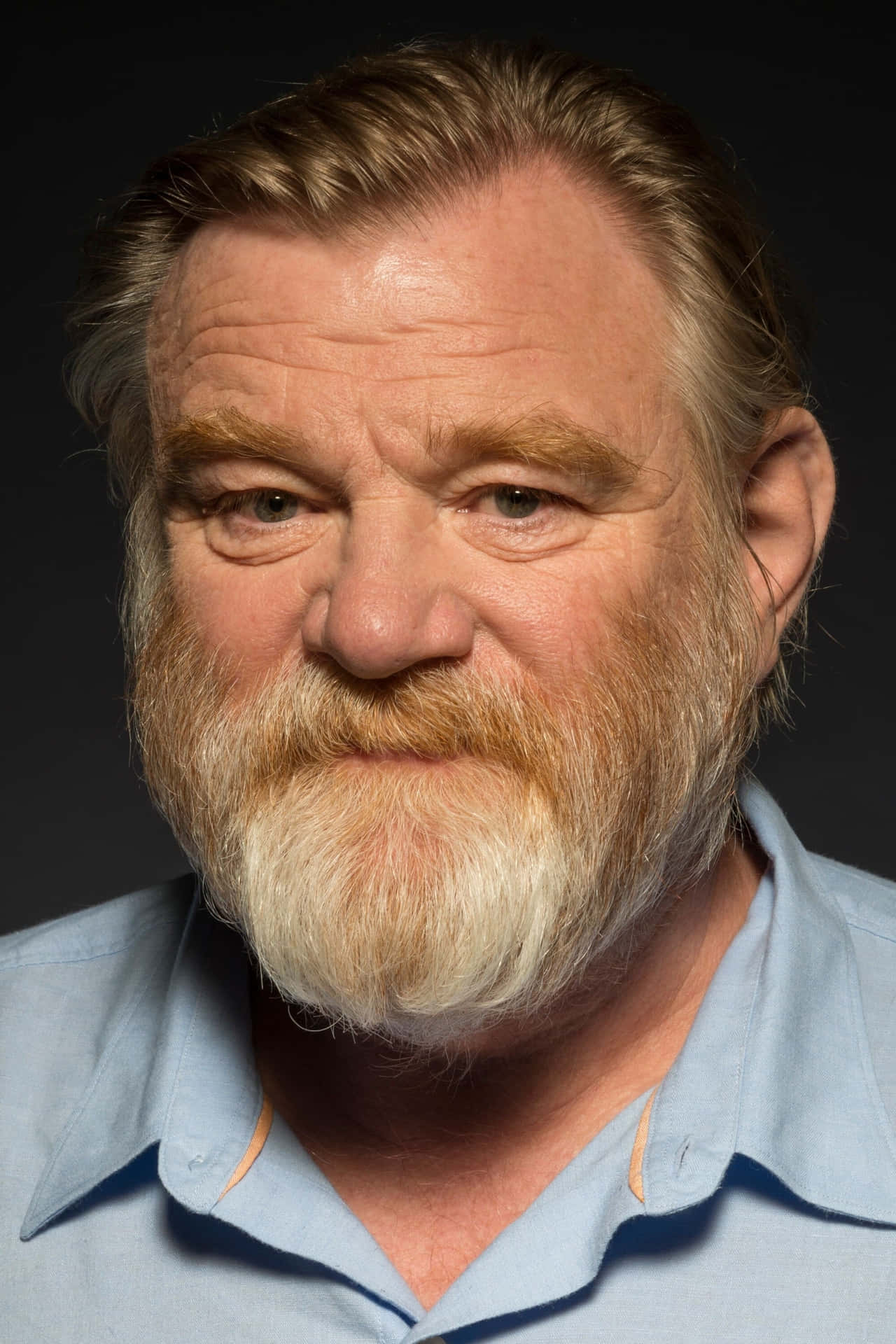 Brendan Gleeson [wallpaper]