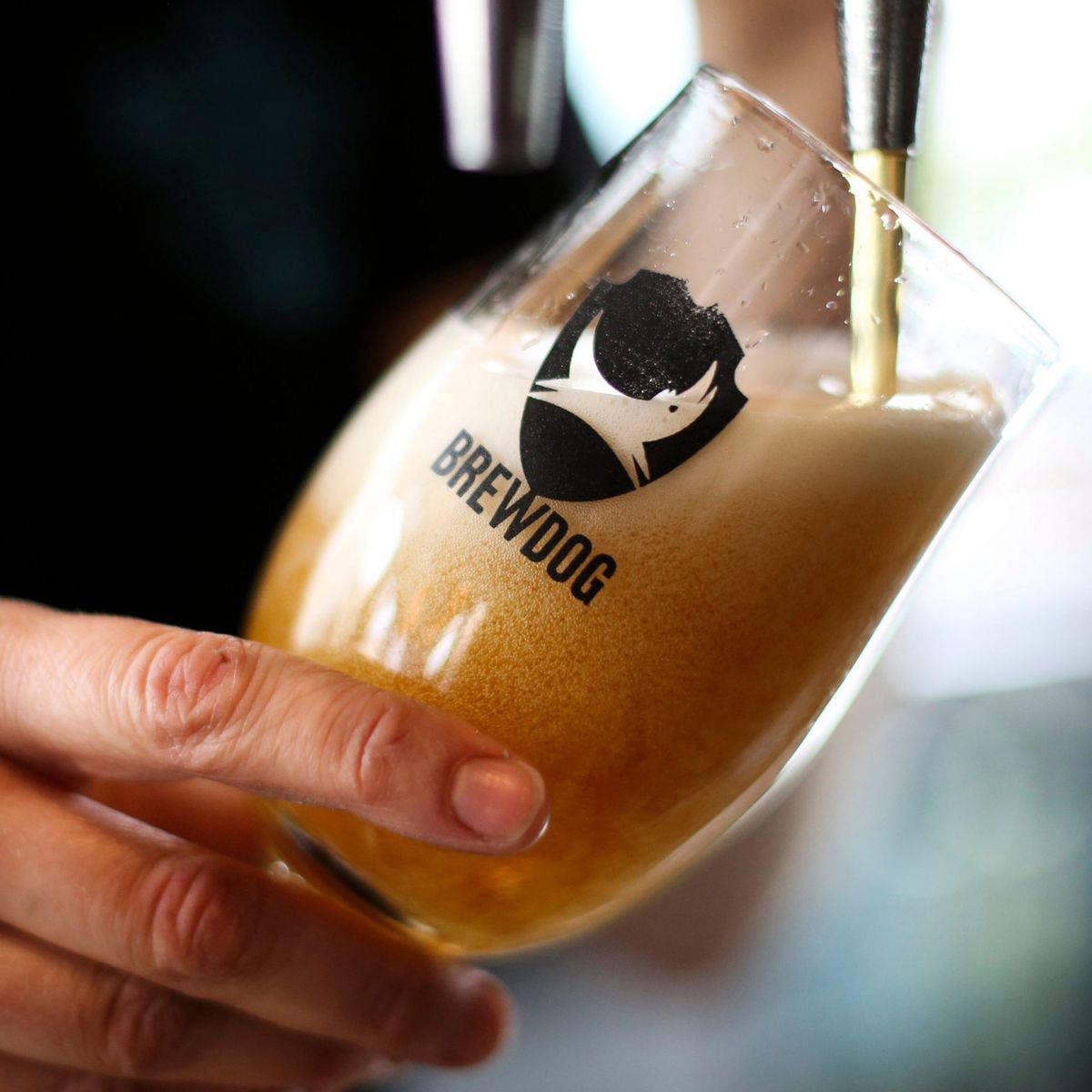 Brewdog Beer Foam In Glass Background