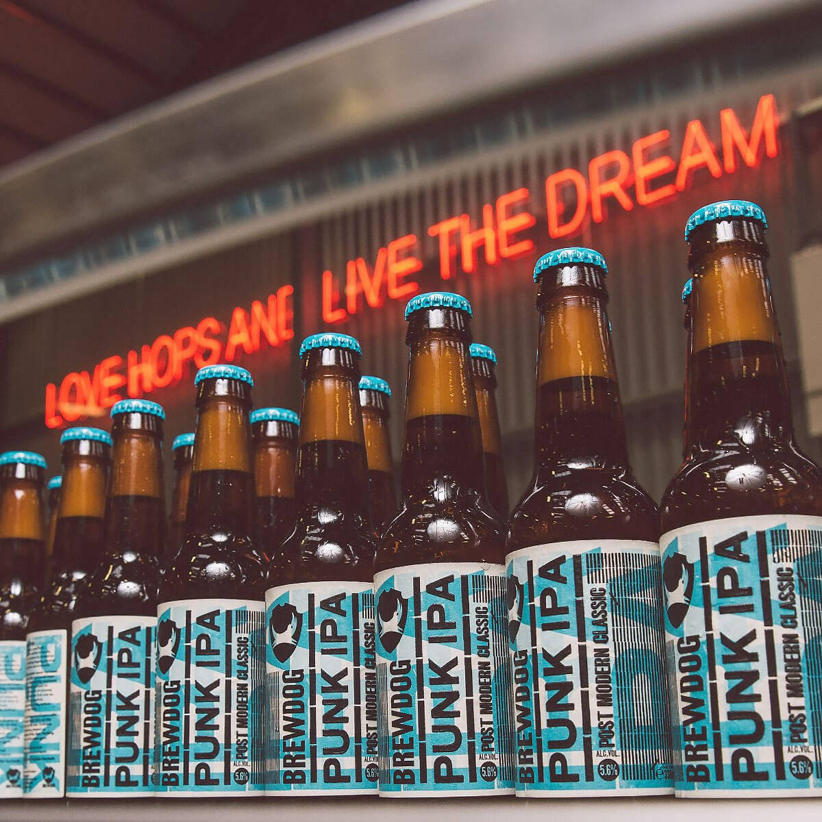 Brewdog Love Hopes And Live The Dream Background