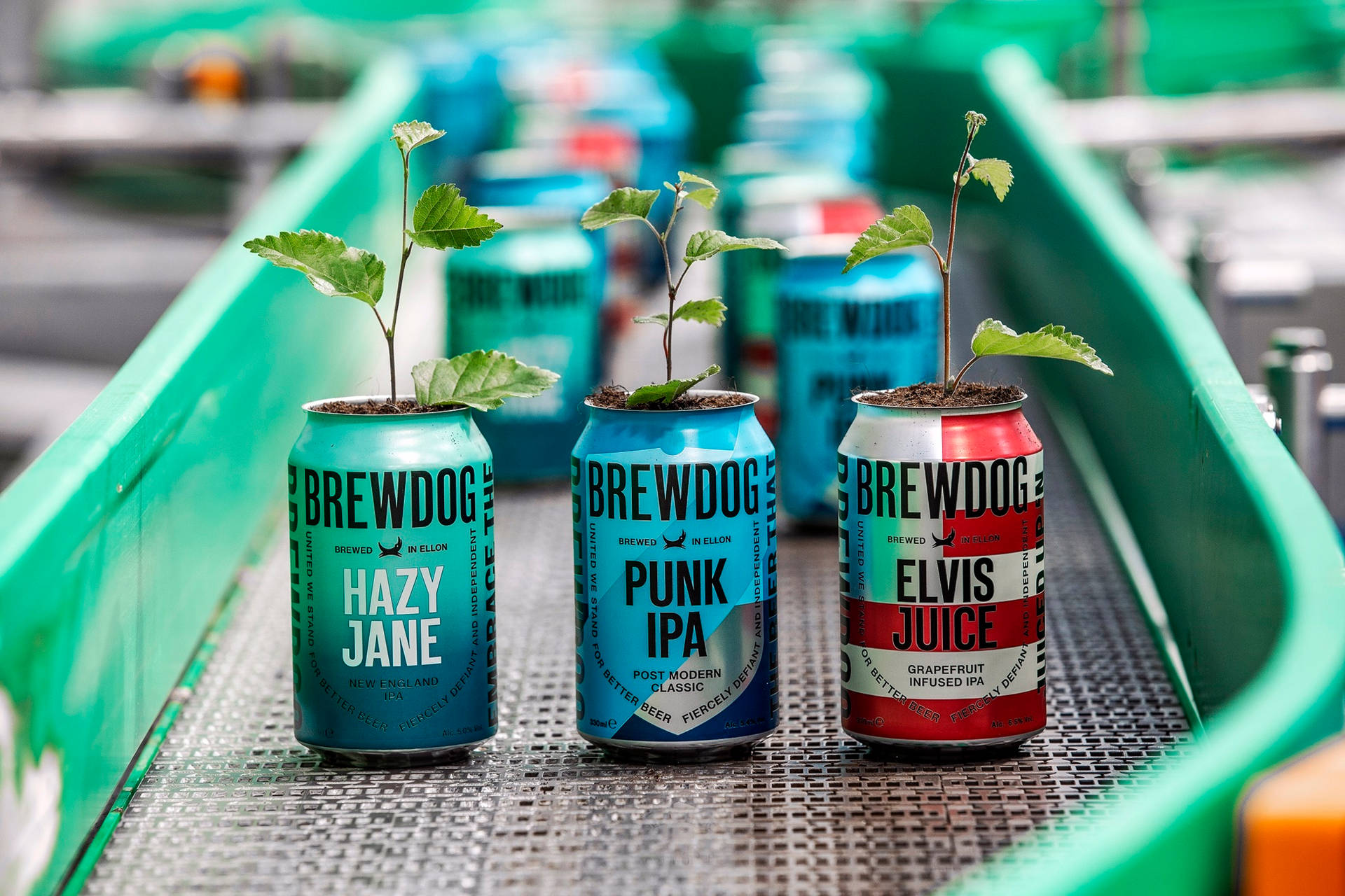 Brewdog Recycled Cans