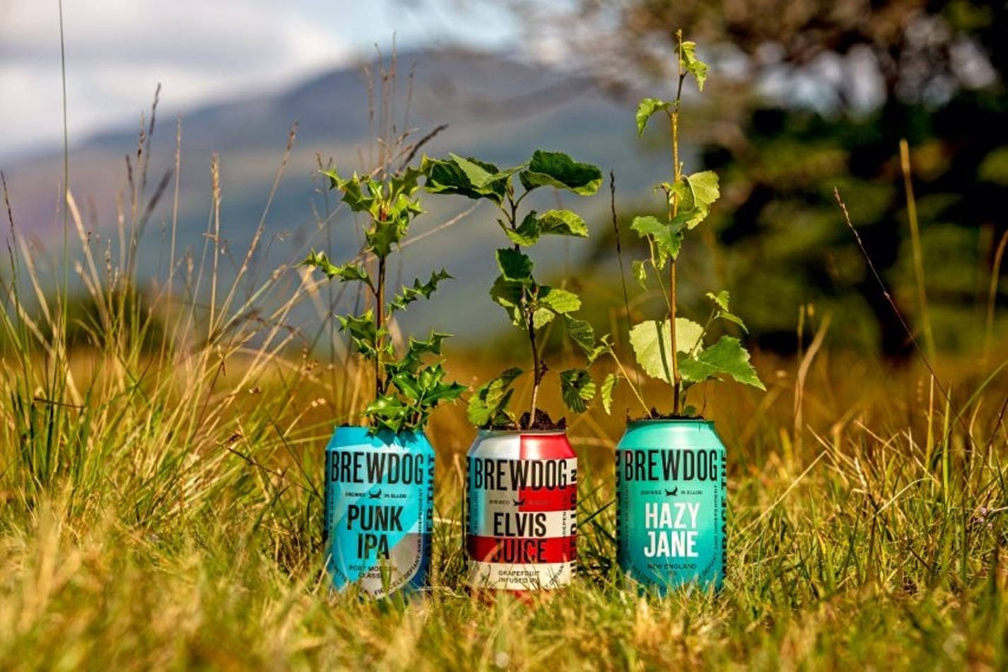 Brewdog Recycled Cans Plants Growing