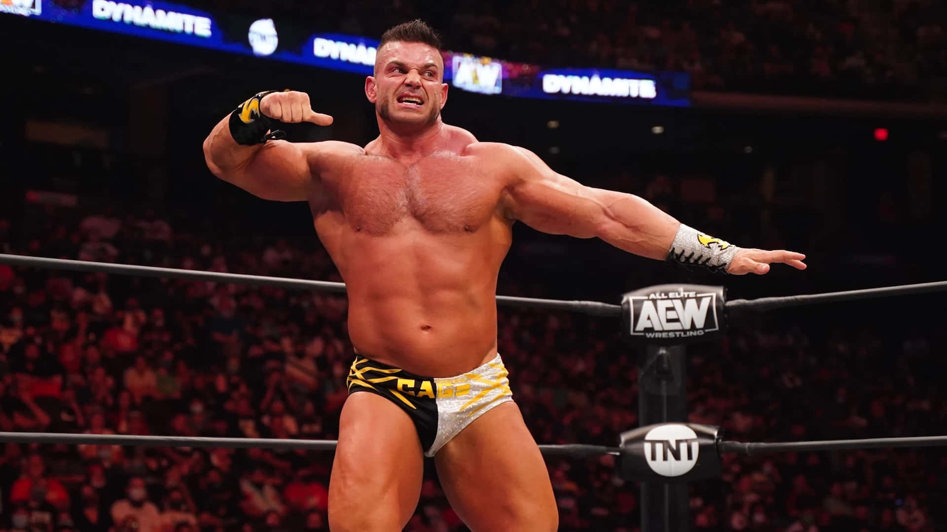Brian Cage Signature Pose Background