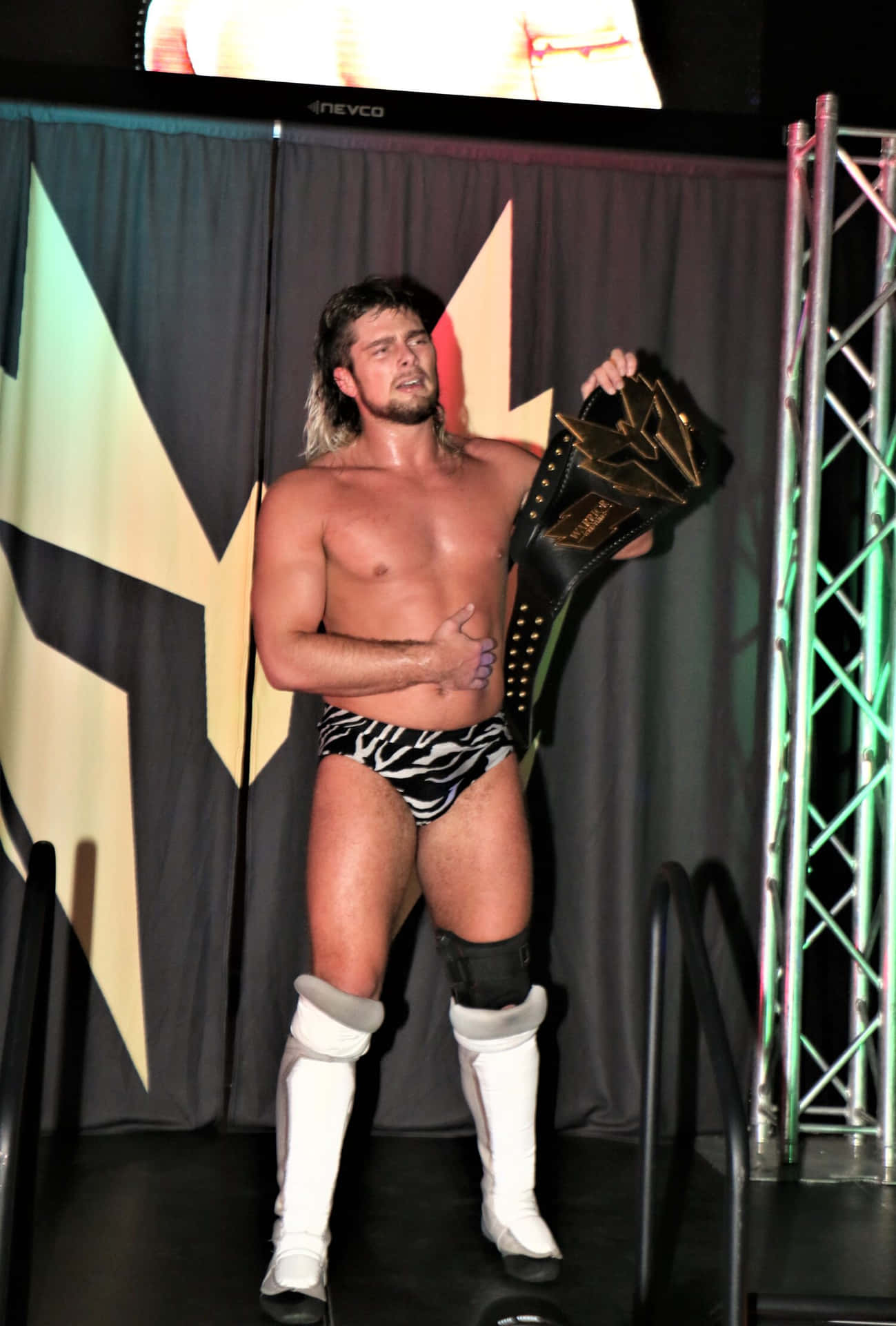 Brian Pillman, The Intrepid Wrestling Champion Background