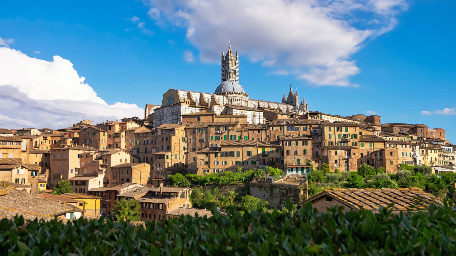 Brick Buildings Near Siena Cathedral