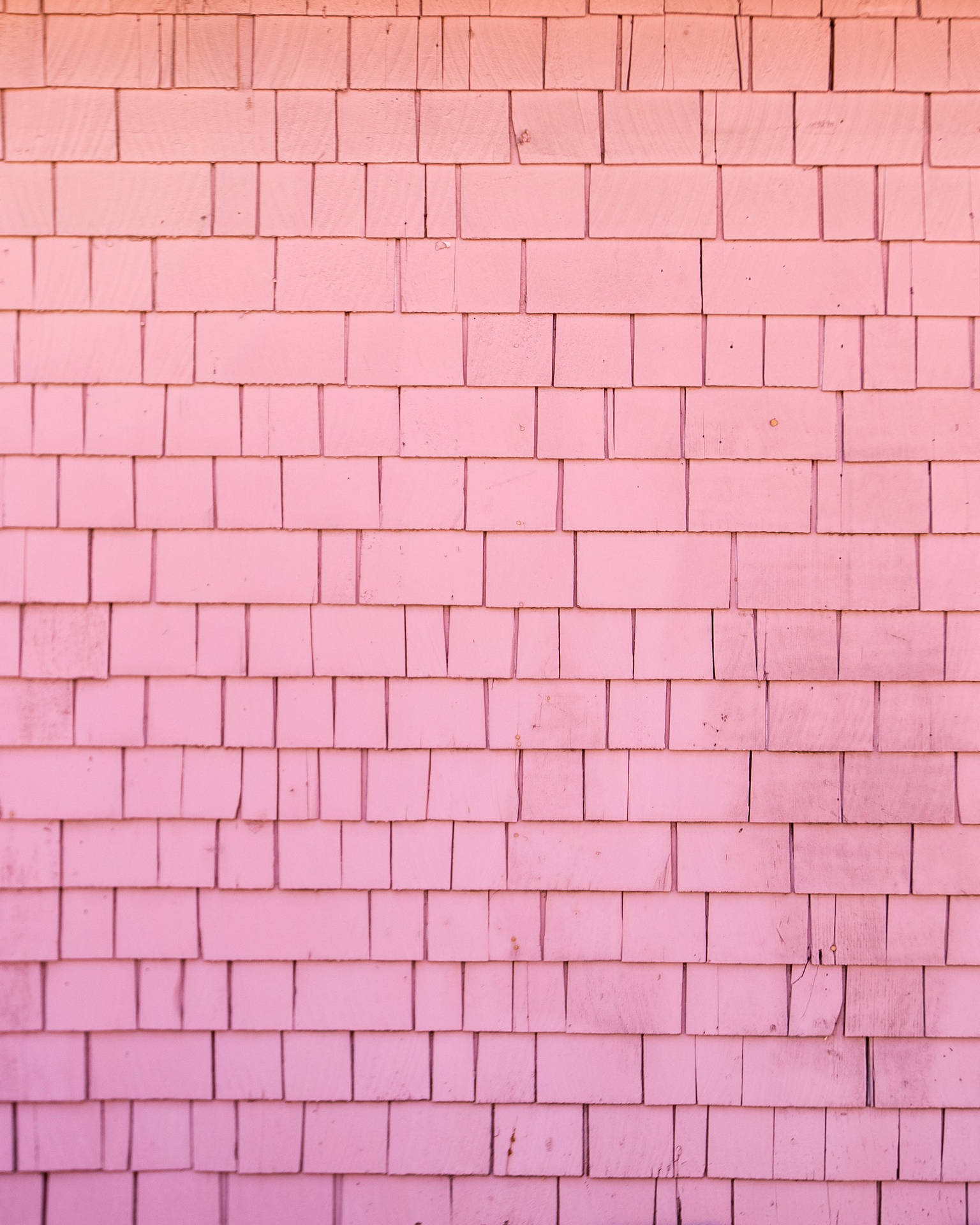 Brick Plain Pink Background