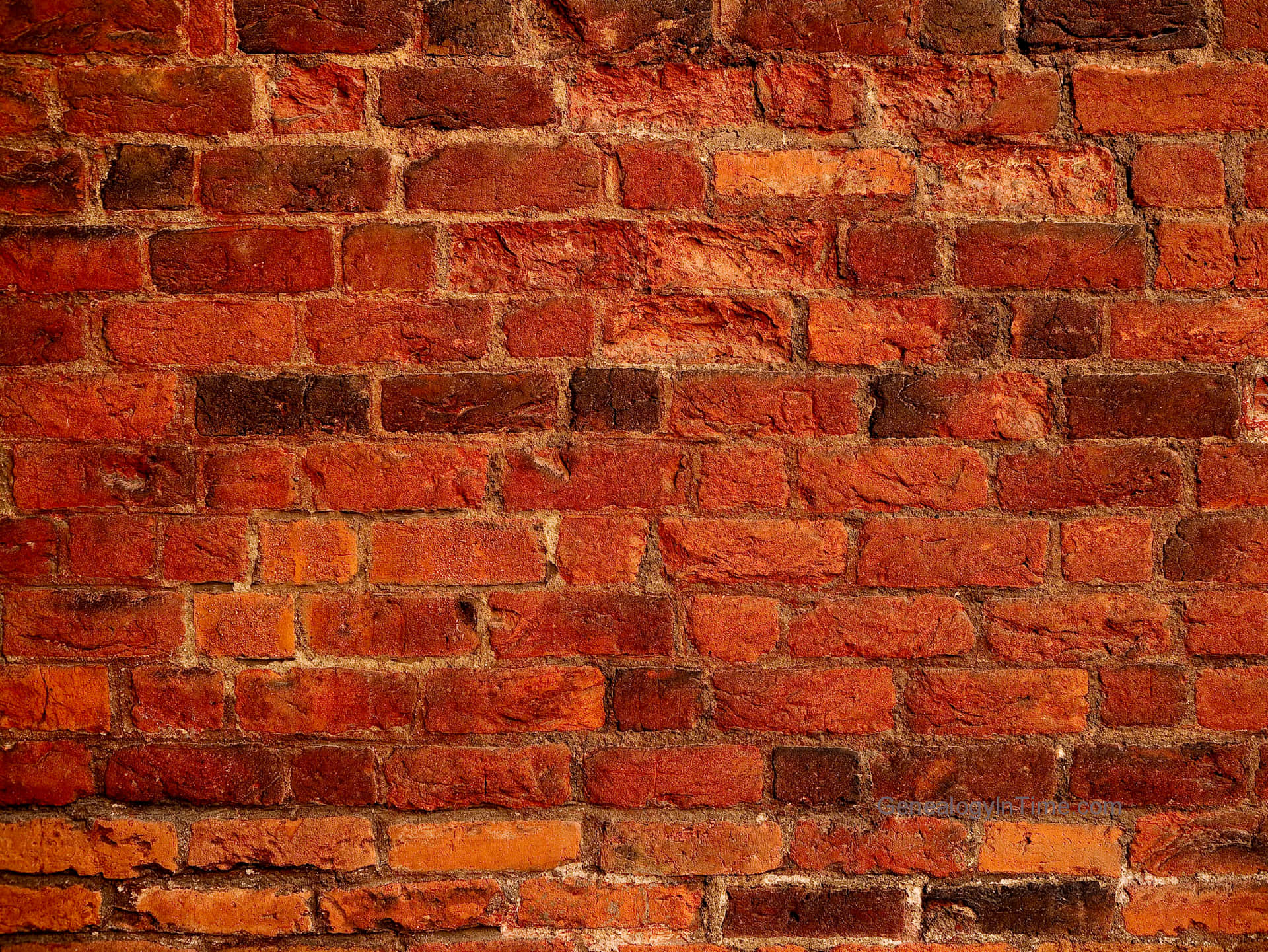 Brick Wall Exposed To The Sun Background