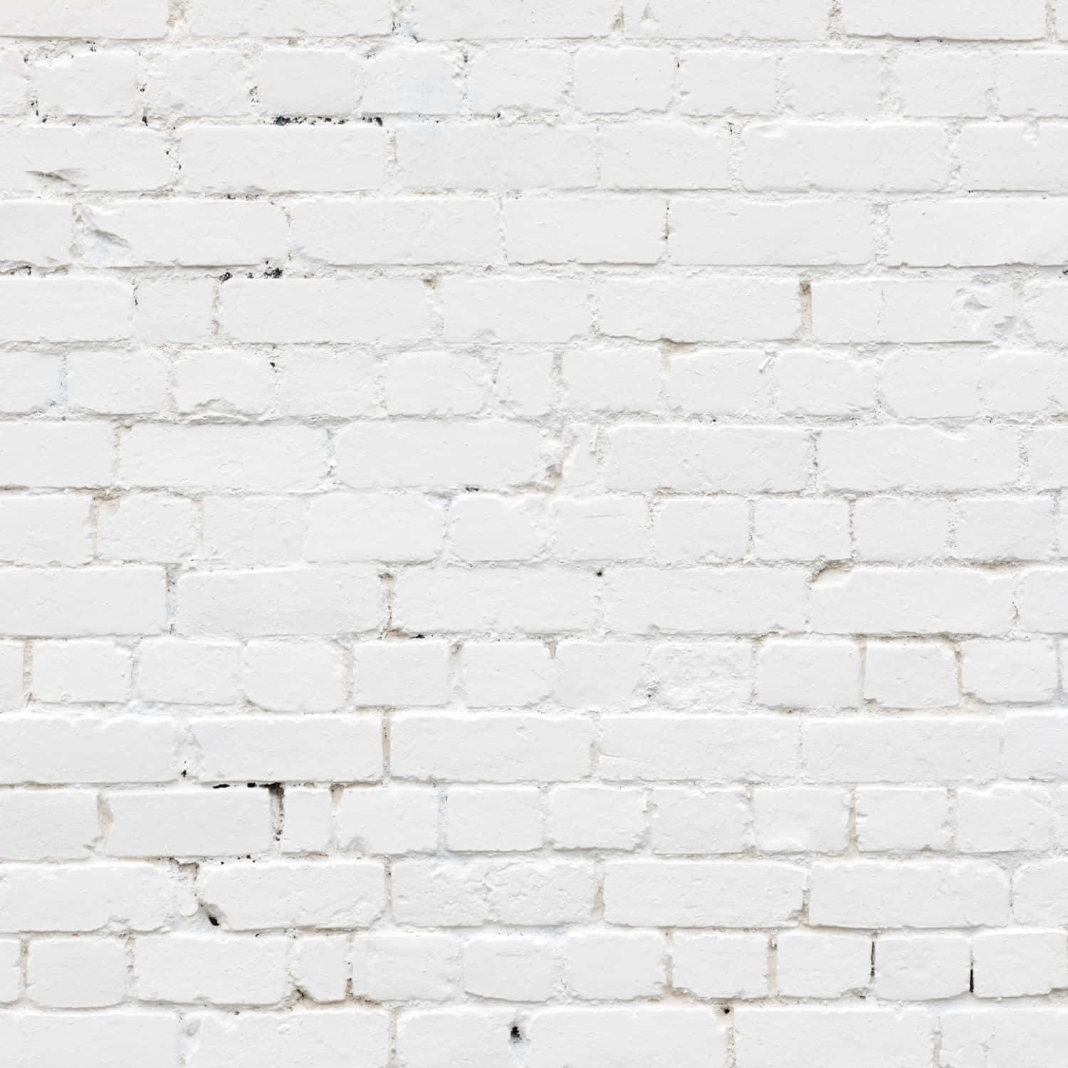 Brick Wall In White Ipad Background