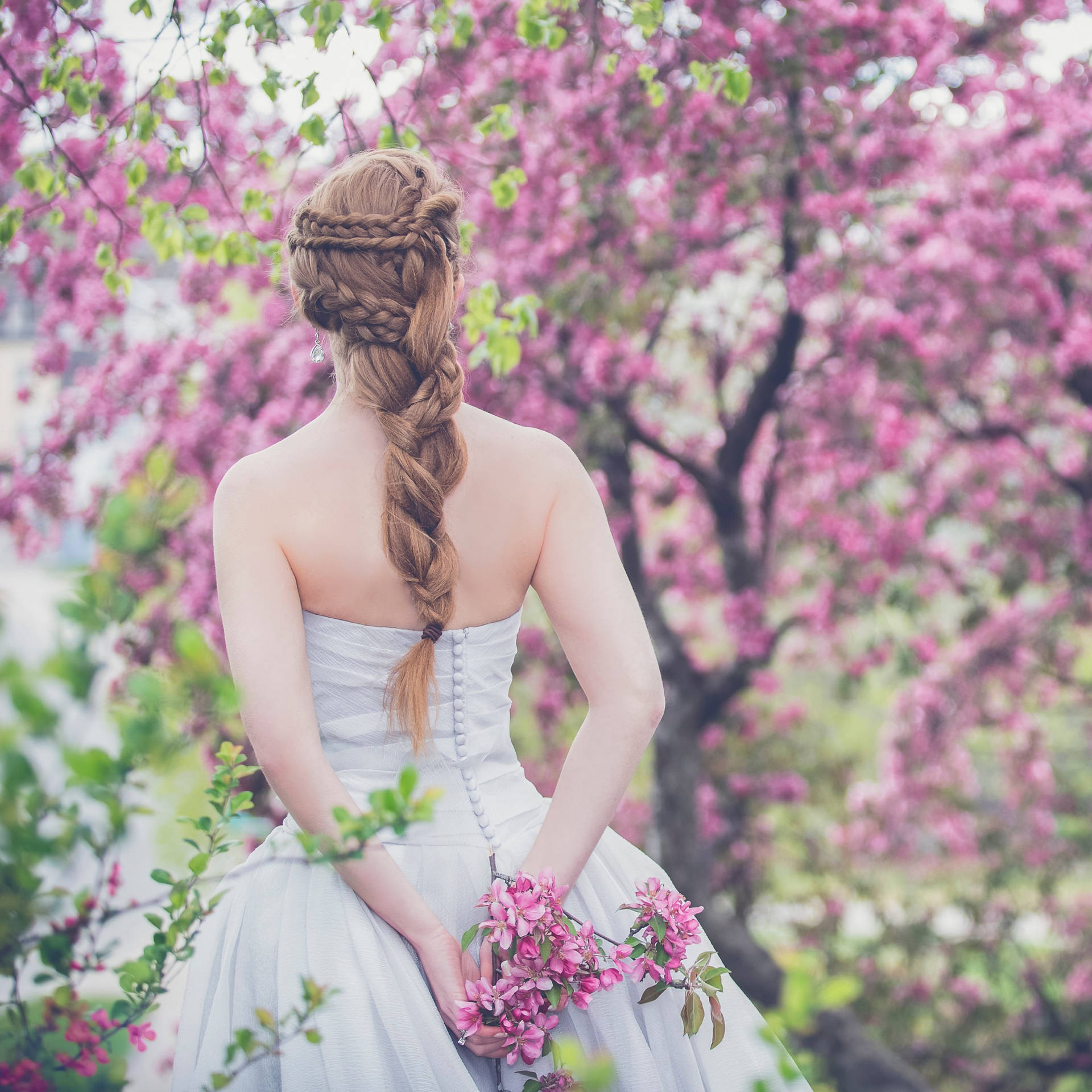 Bridal Walk Among Pink Flowers Background