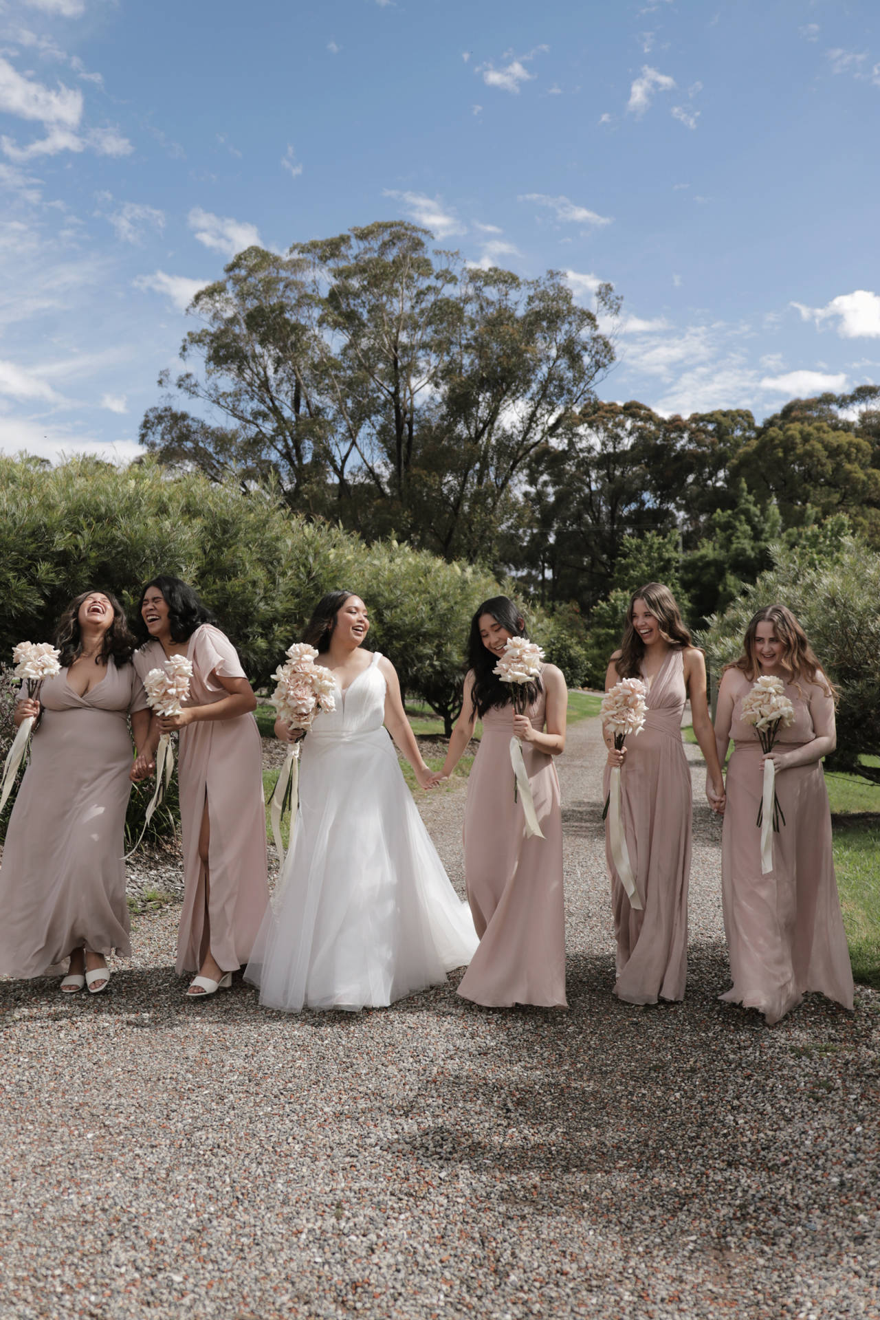 Bridesmaids In Beige Dresses Background