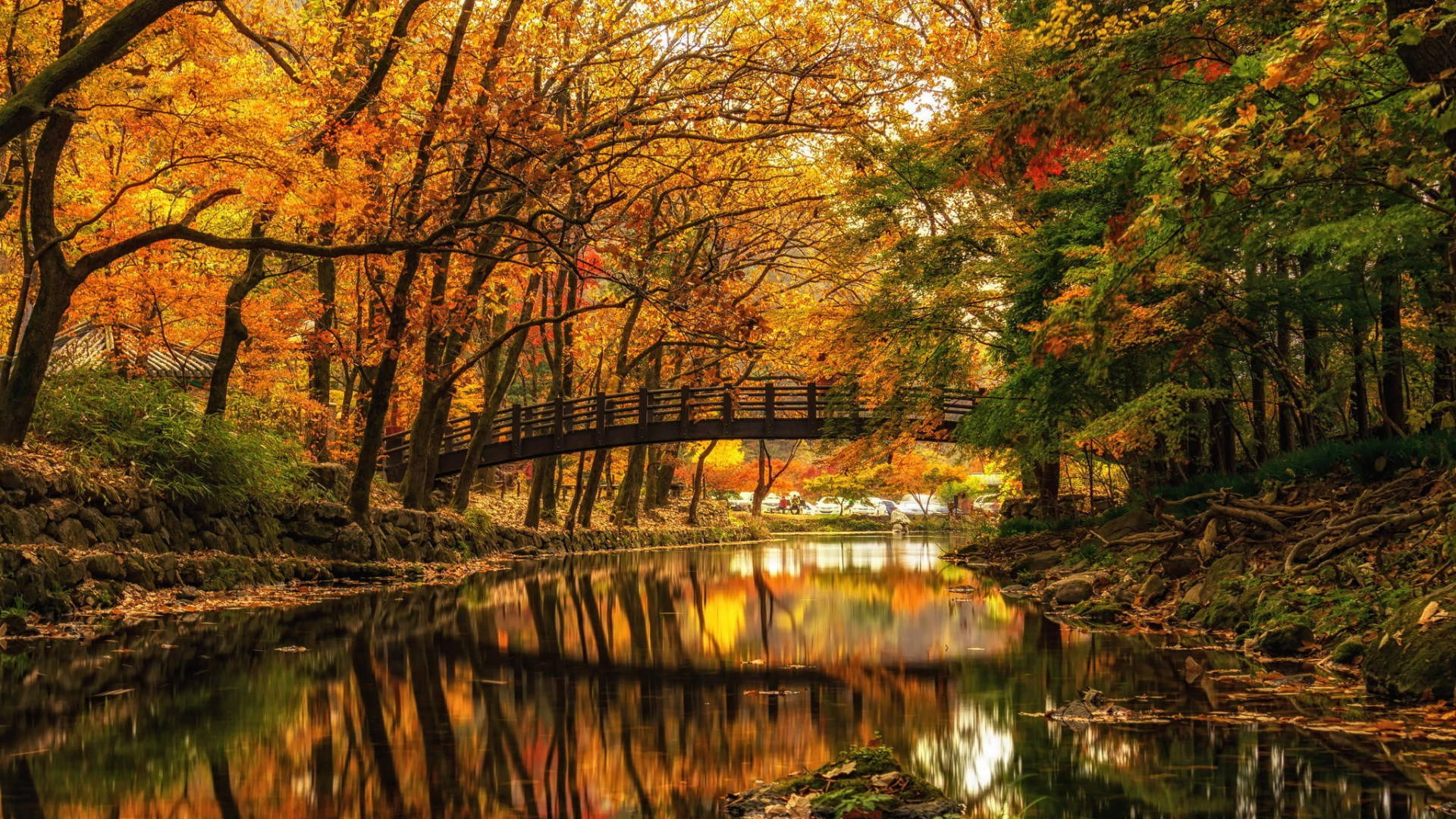 Bridge During Autumn Macbook Background