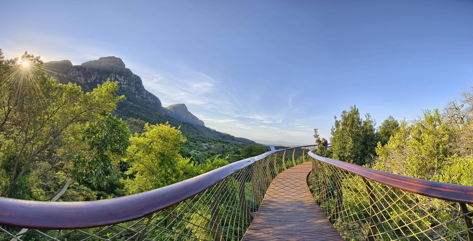 Bridge Garden In Cape Town Background