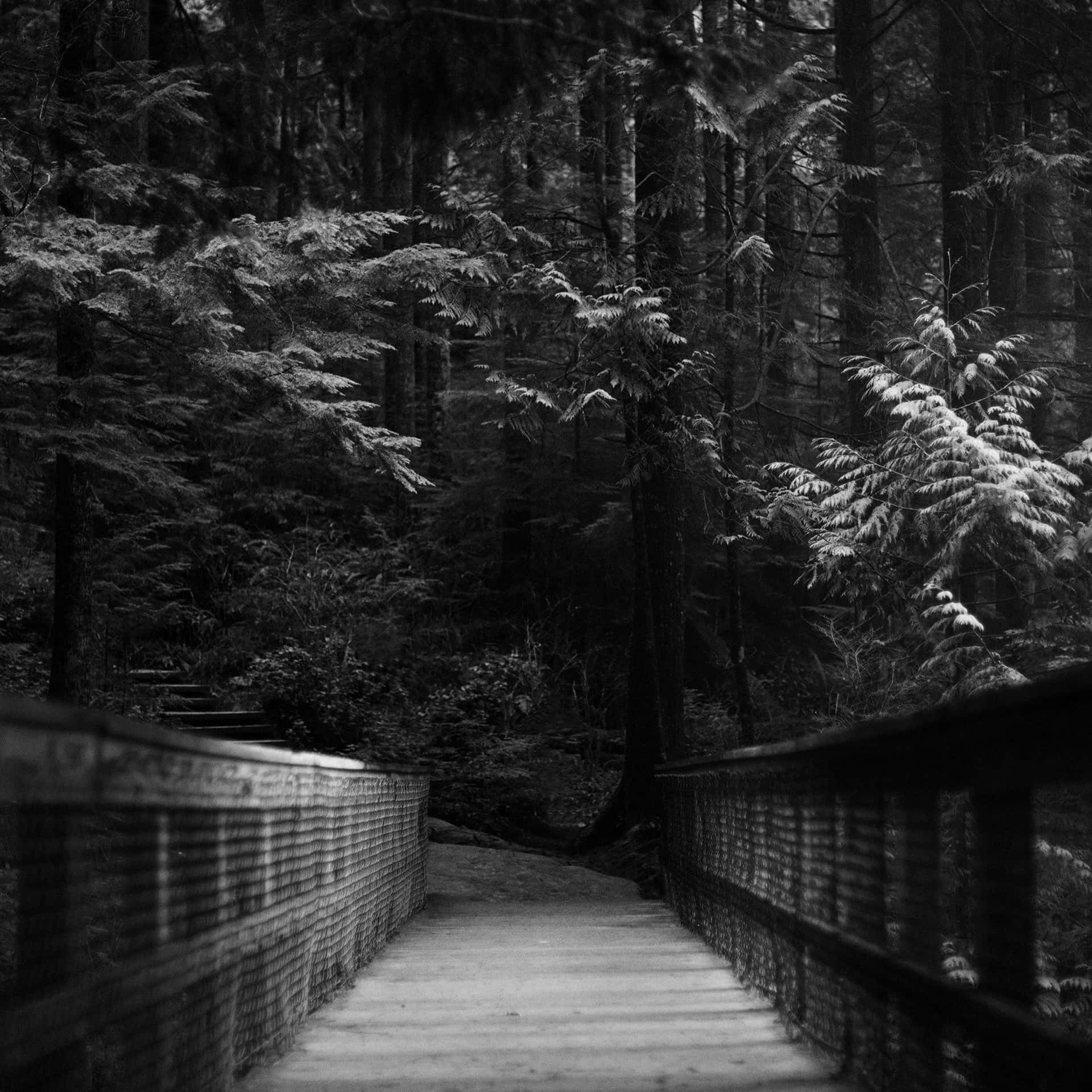 Bridge In Forest Dark Ipad Background