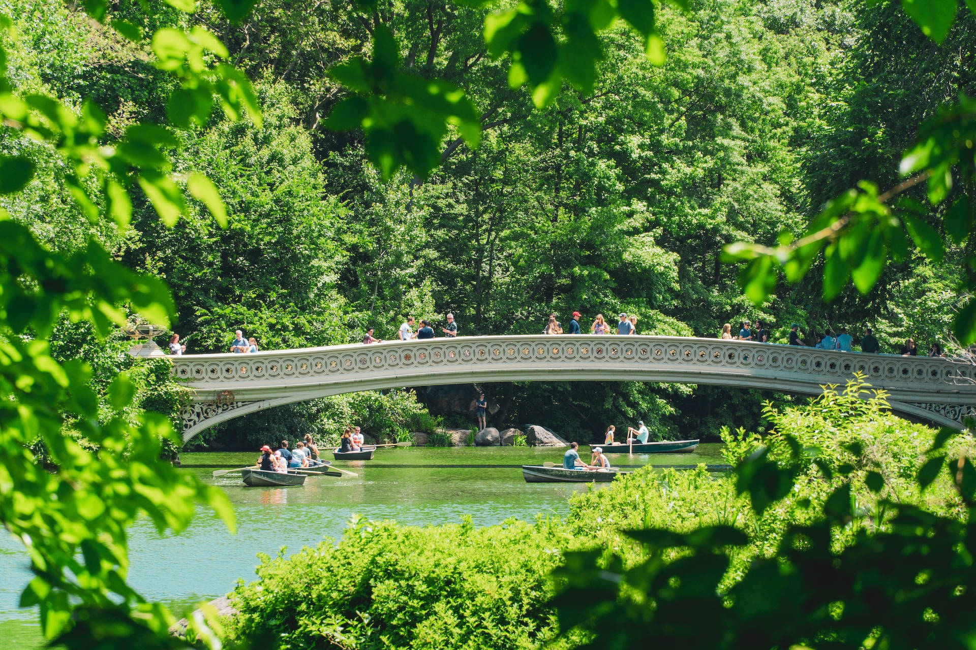 Bridge Over Central Park Lake Background