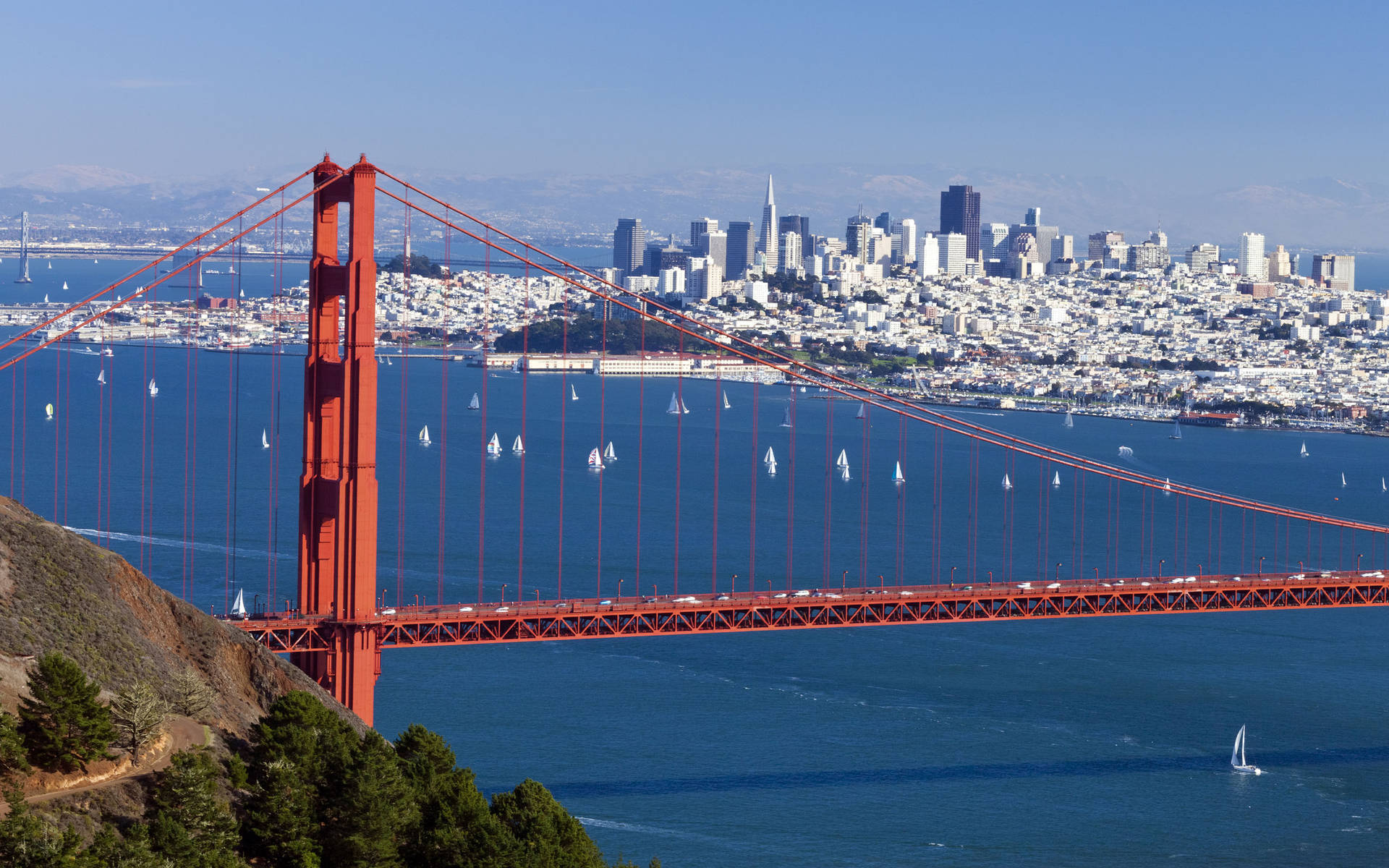 Bridge With City View San Francisco Photography Background