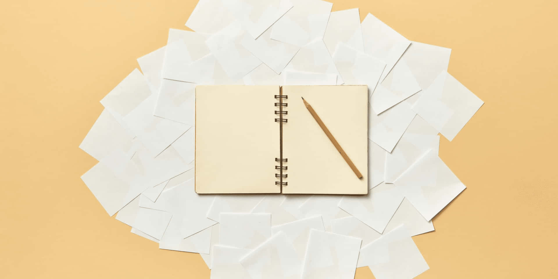 Brief Diary Background