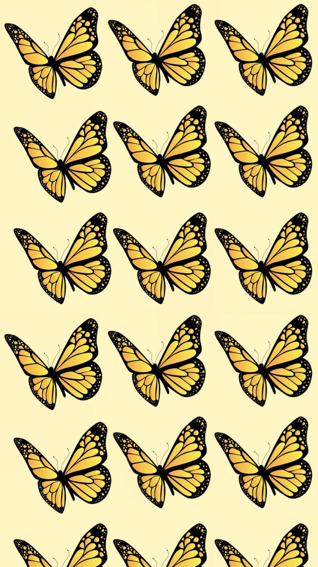 Bright And Beautiful Butterflies