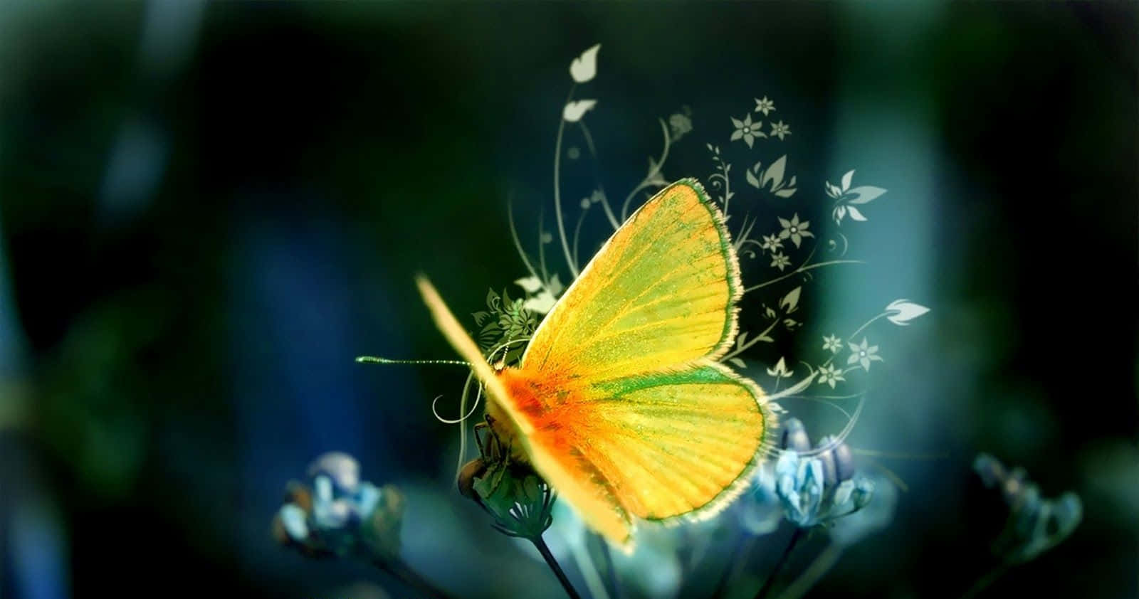 Bright And Beautiful Cute Yellow Butterflies