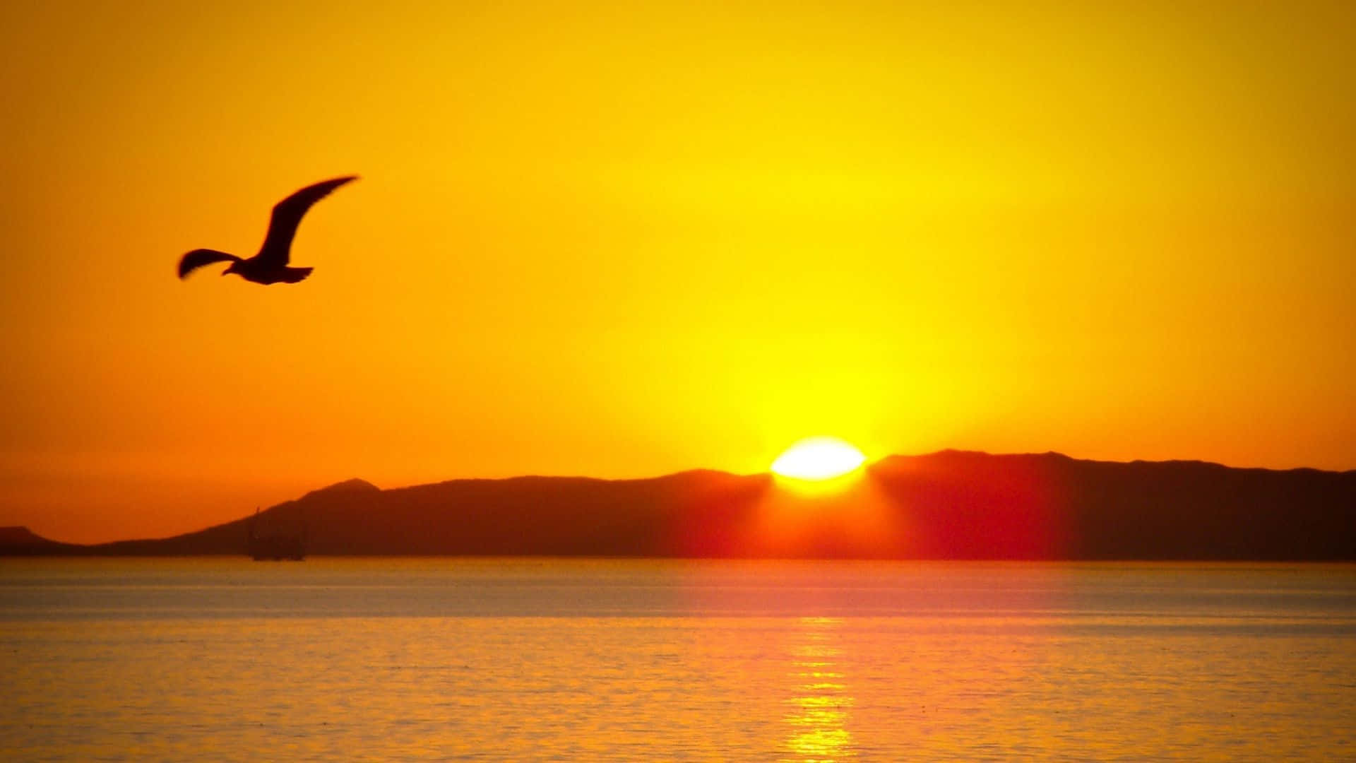 Bright And Beautiful Sunshine Background