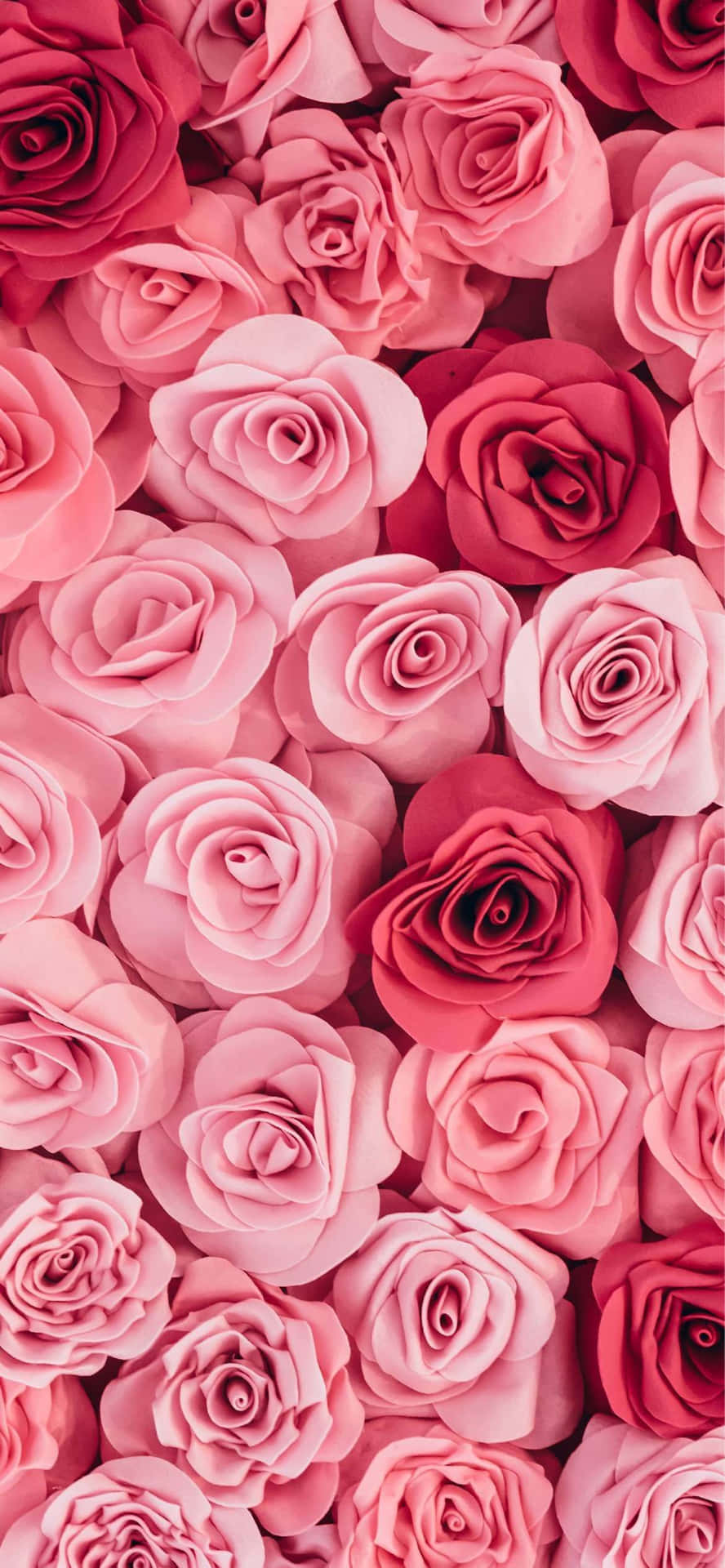 Bright And Colorful Cute Iphone Design Background