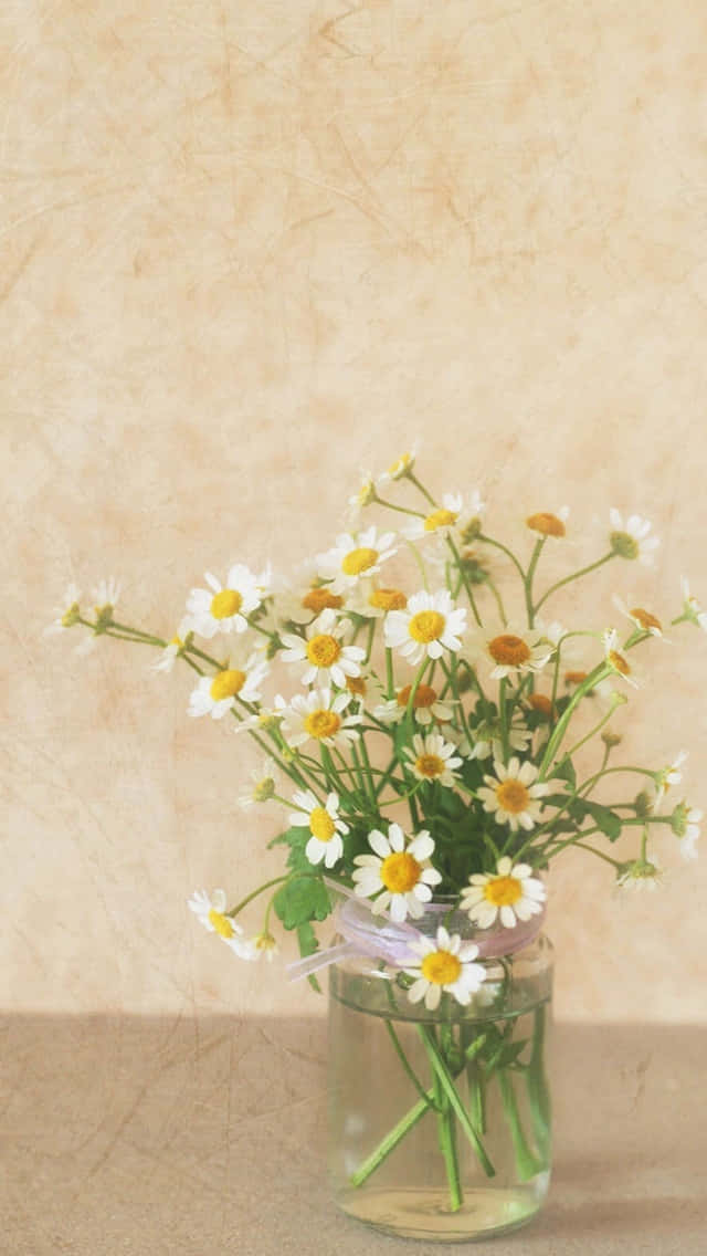 Bright And Vibrant Spring Daisy Bouquet Iphone Wallpaper Background