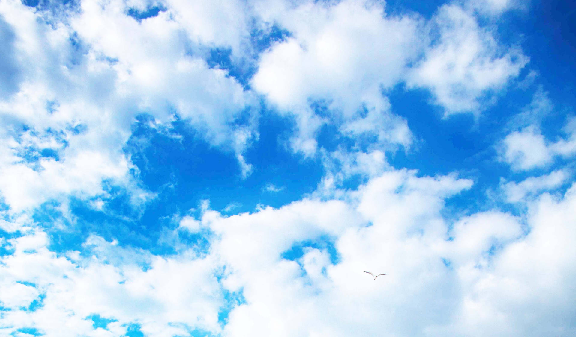 Bright Blue Funeral Clouds Background