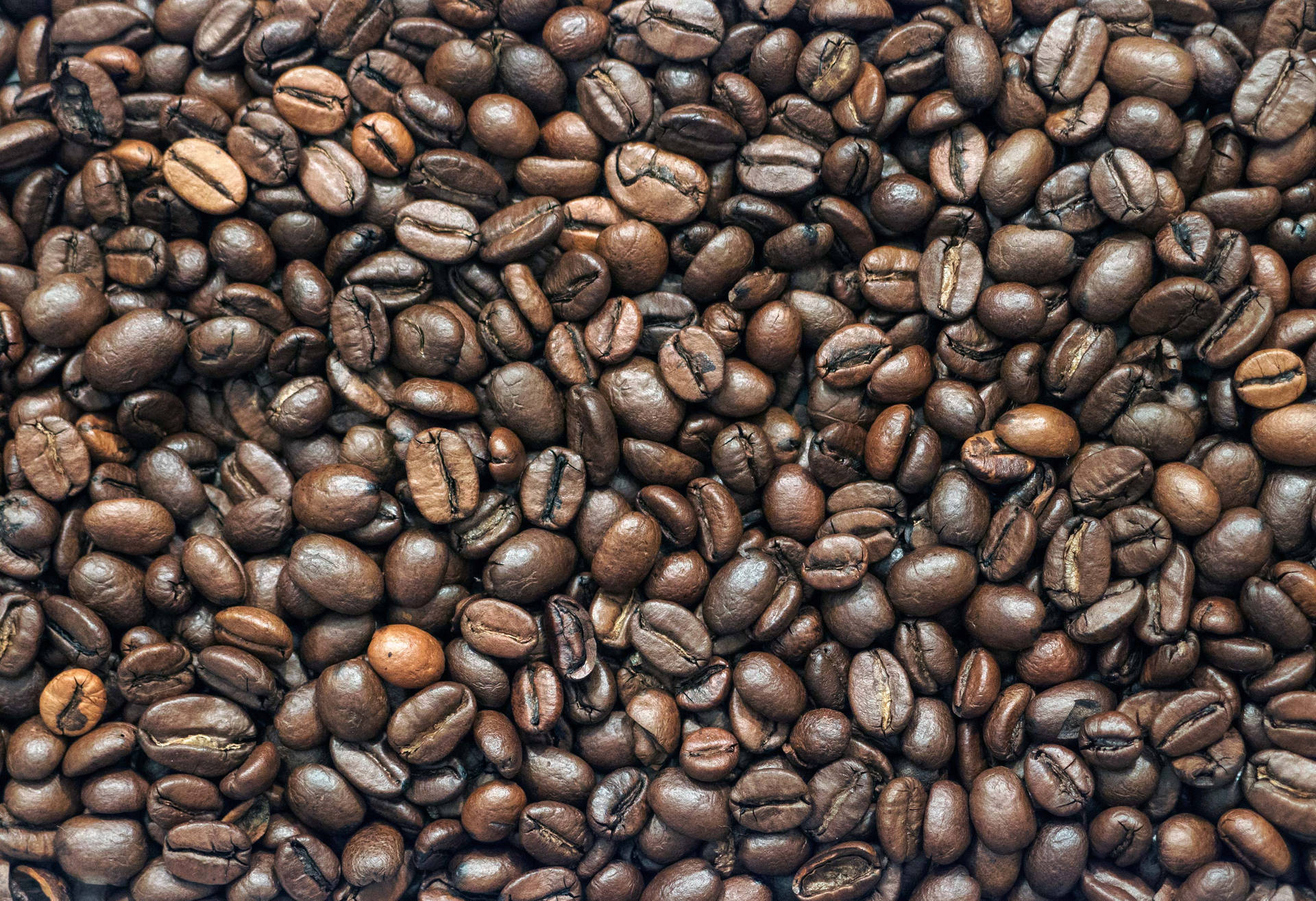 Bright Coffee Beans