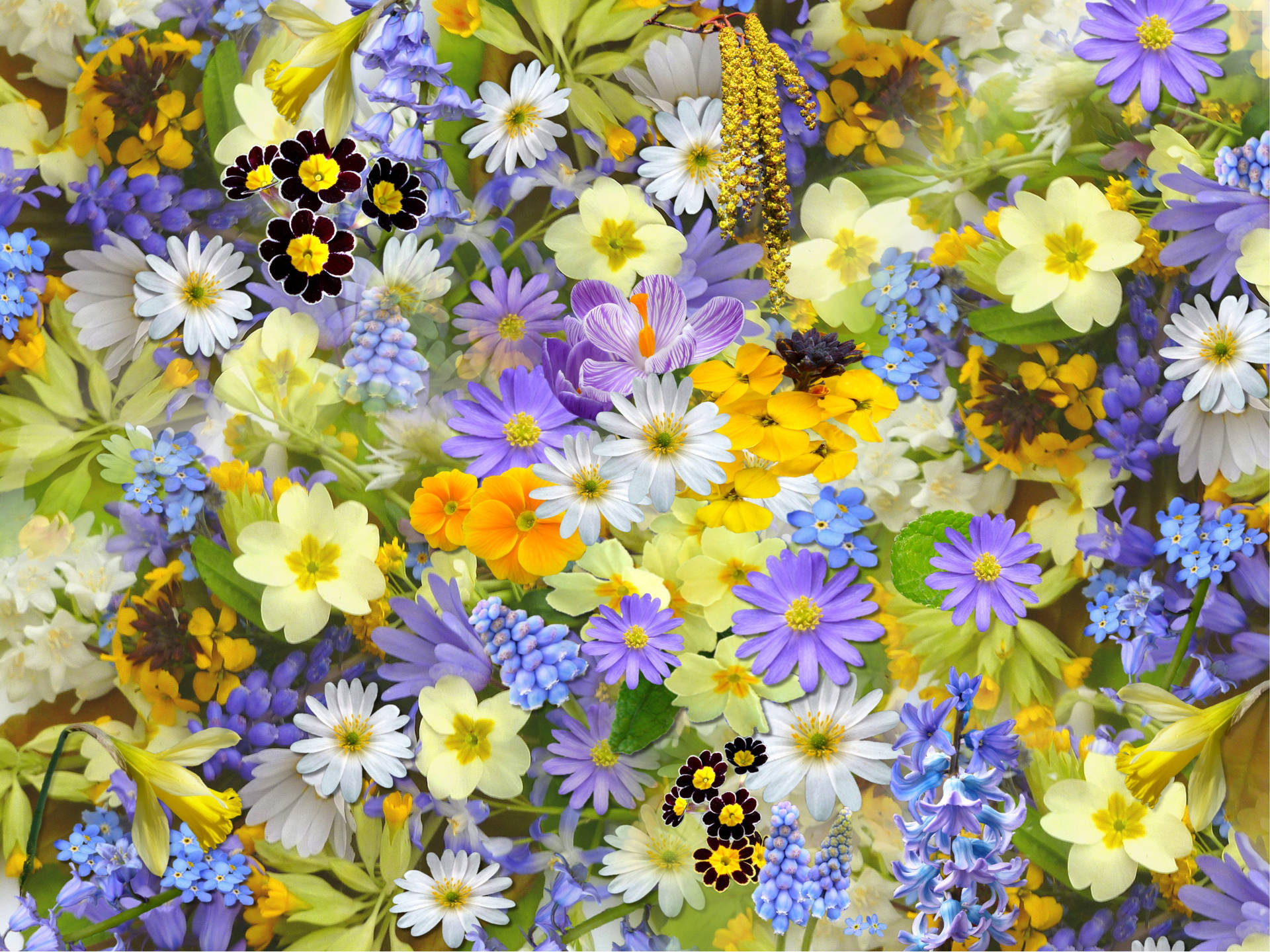 Bright Flowers Background Background