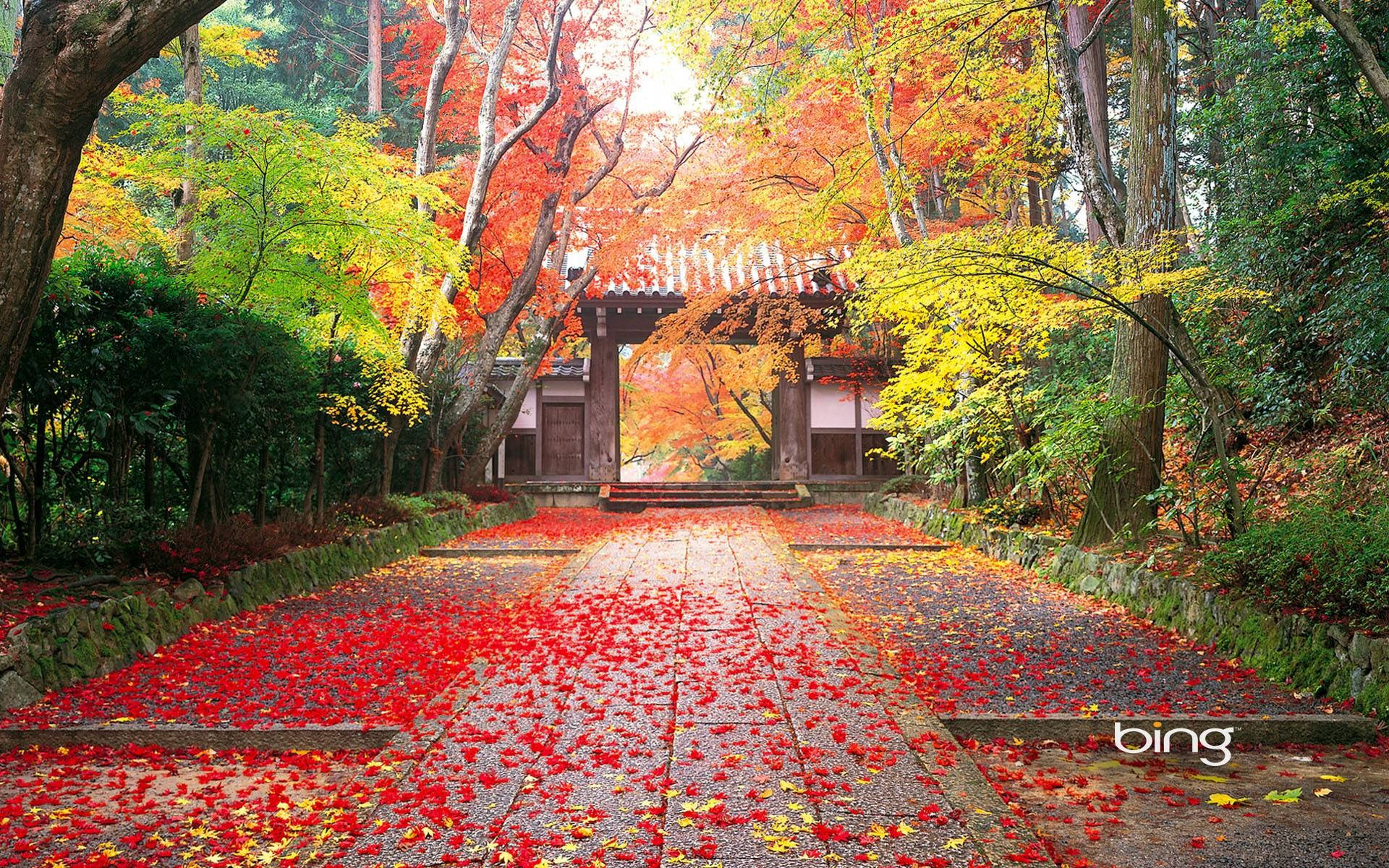 Bright Japanese Nature Best Desktop Background